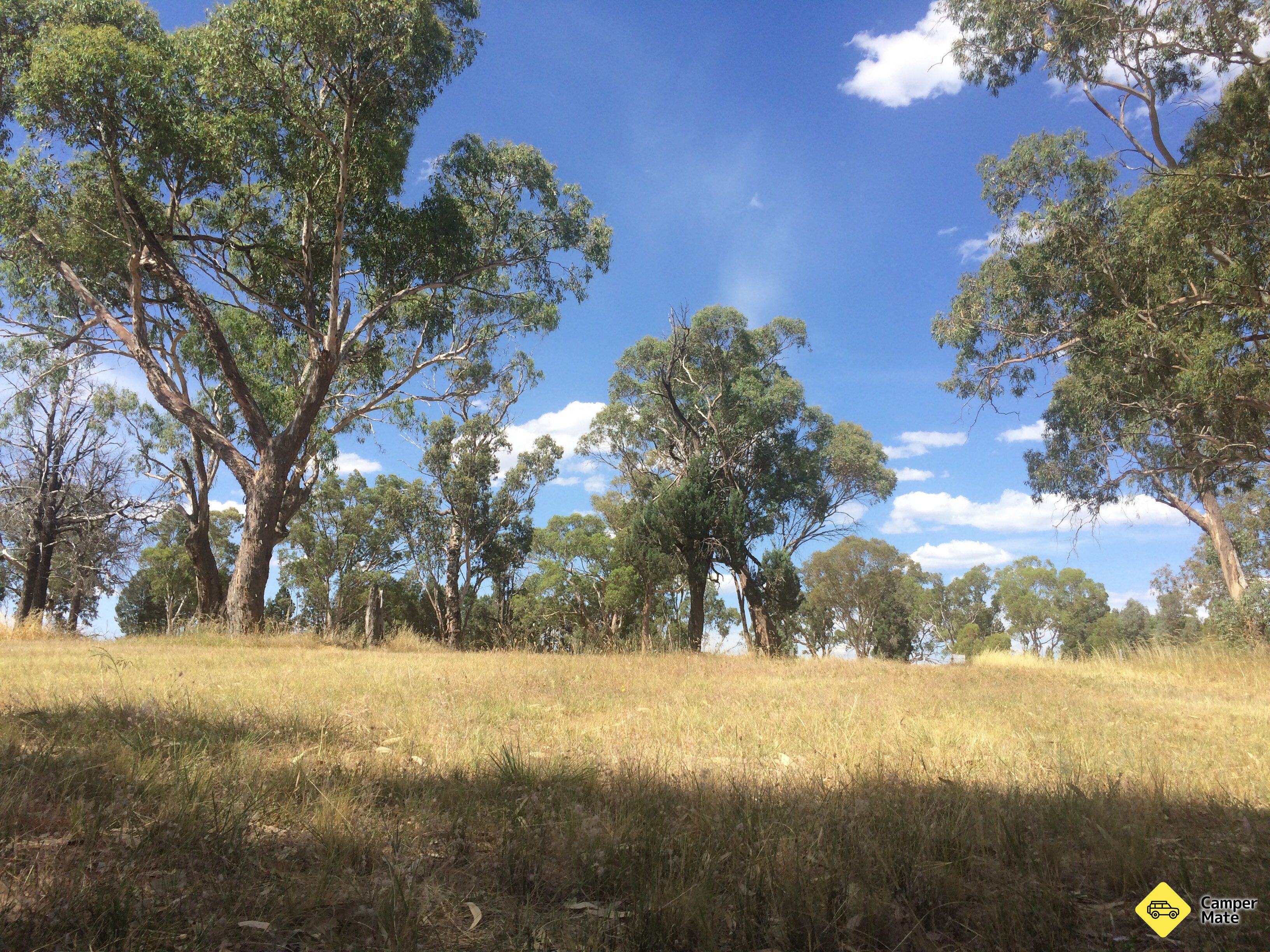 Terramungamine Reserve