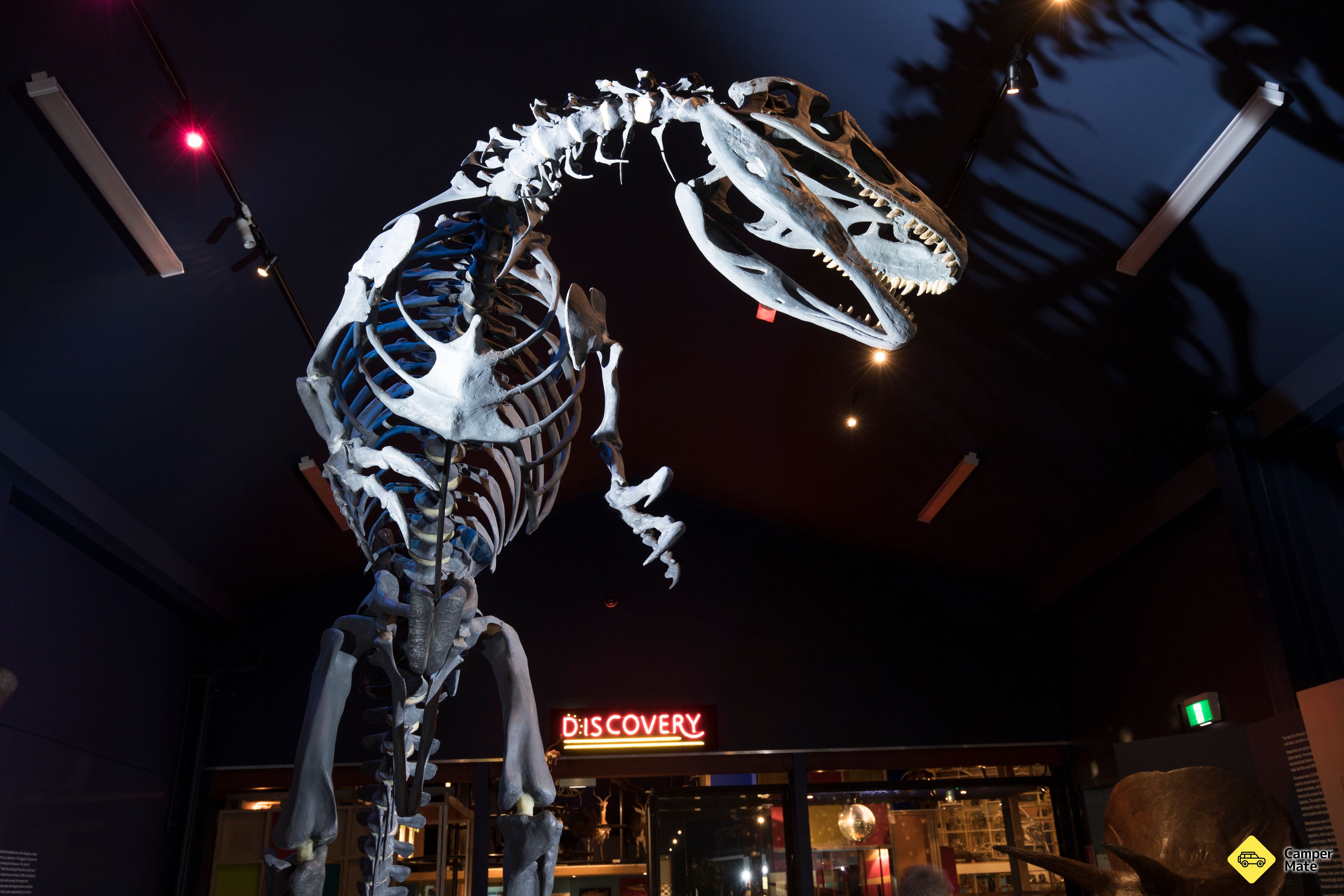Canterbury Museum  - Image 3