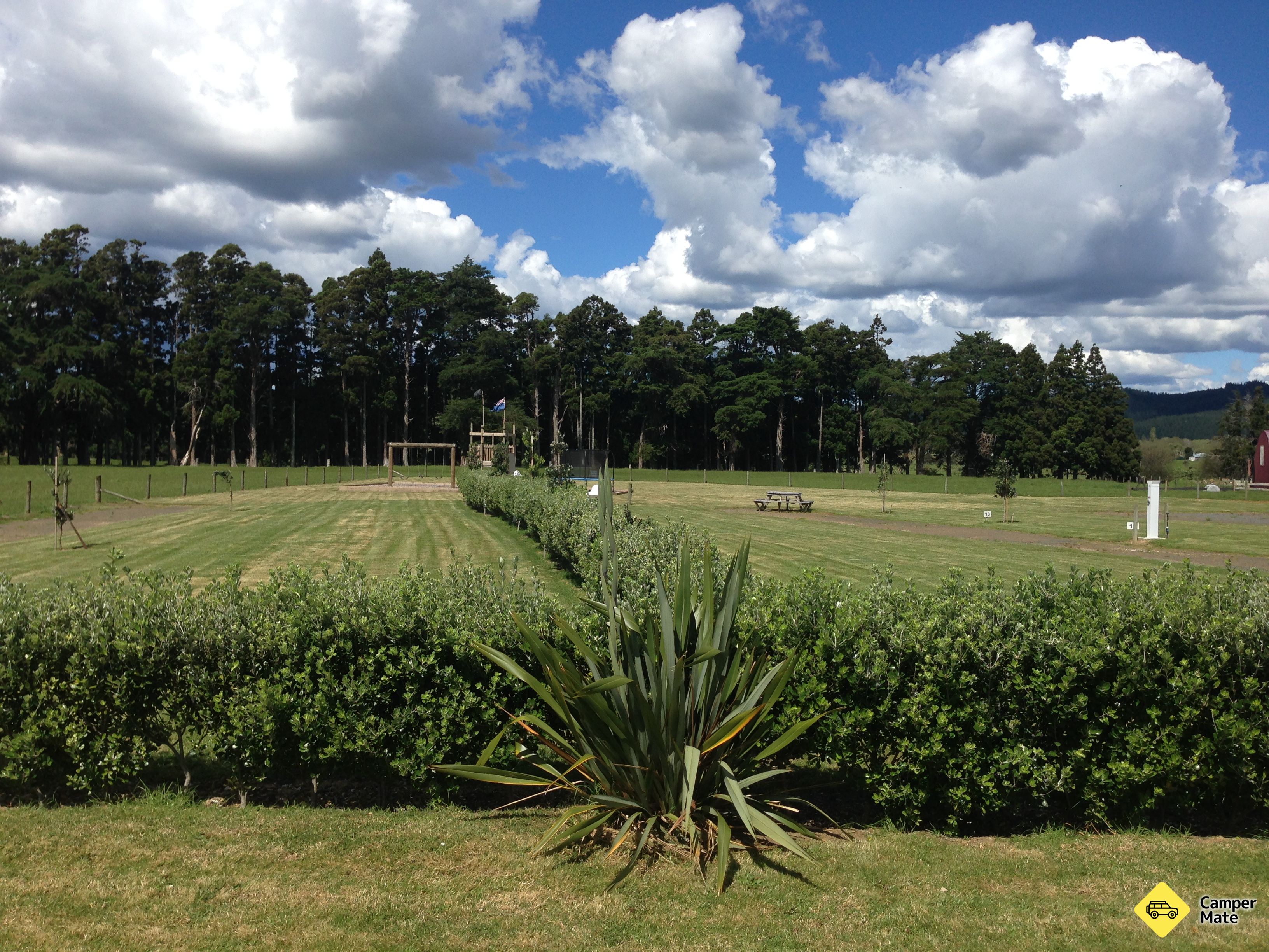 ワンガポワ Holiday Park - Image 2