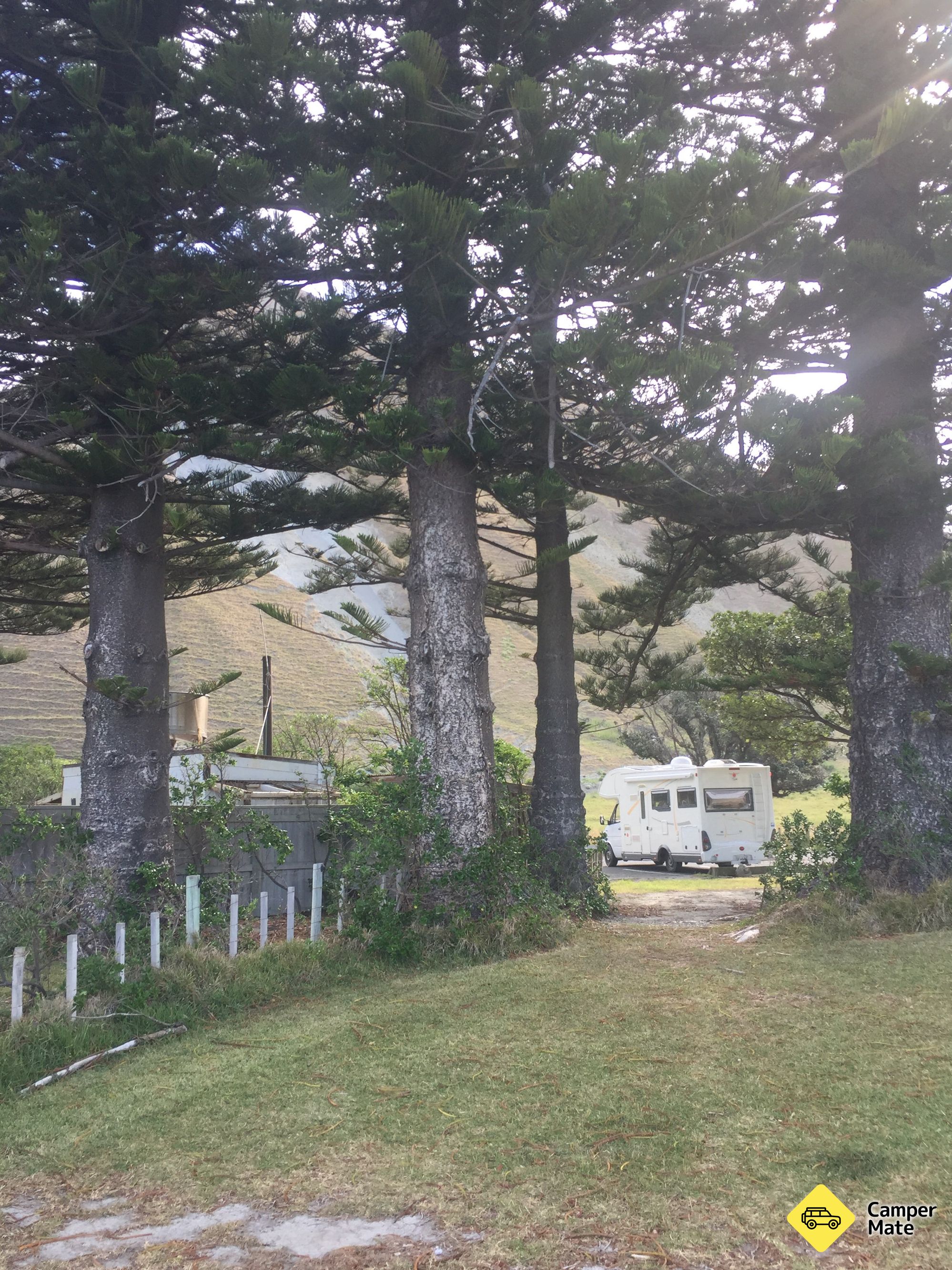 Aramoana Beach - Image 3