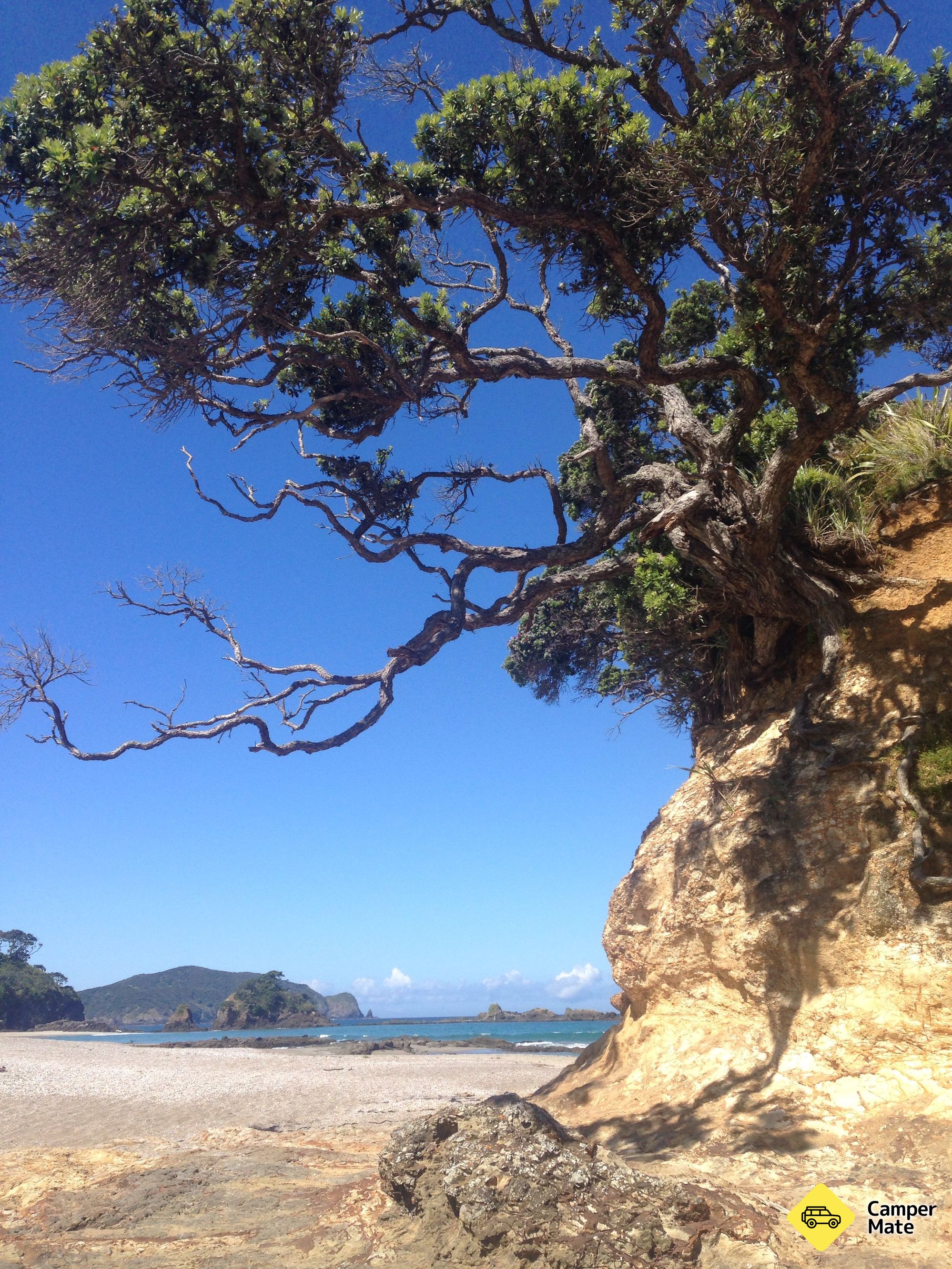 Elliot Bay Beach - Image 3