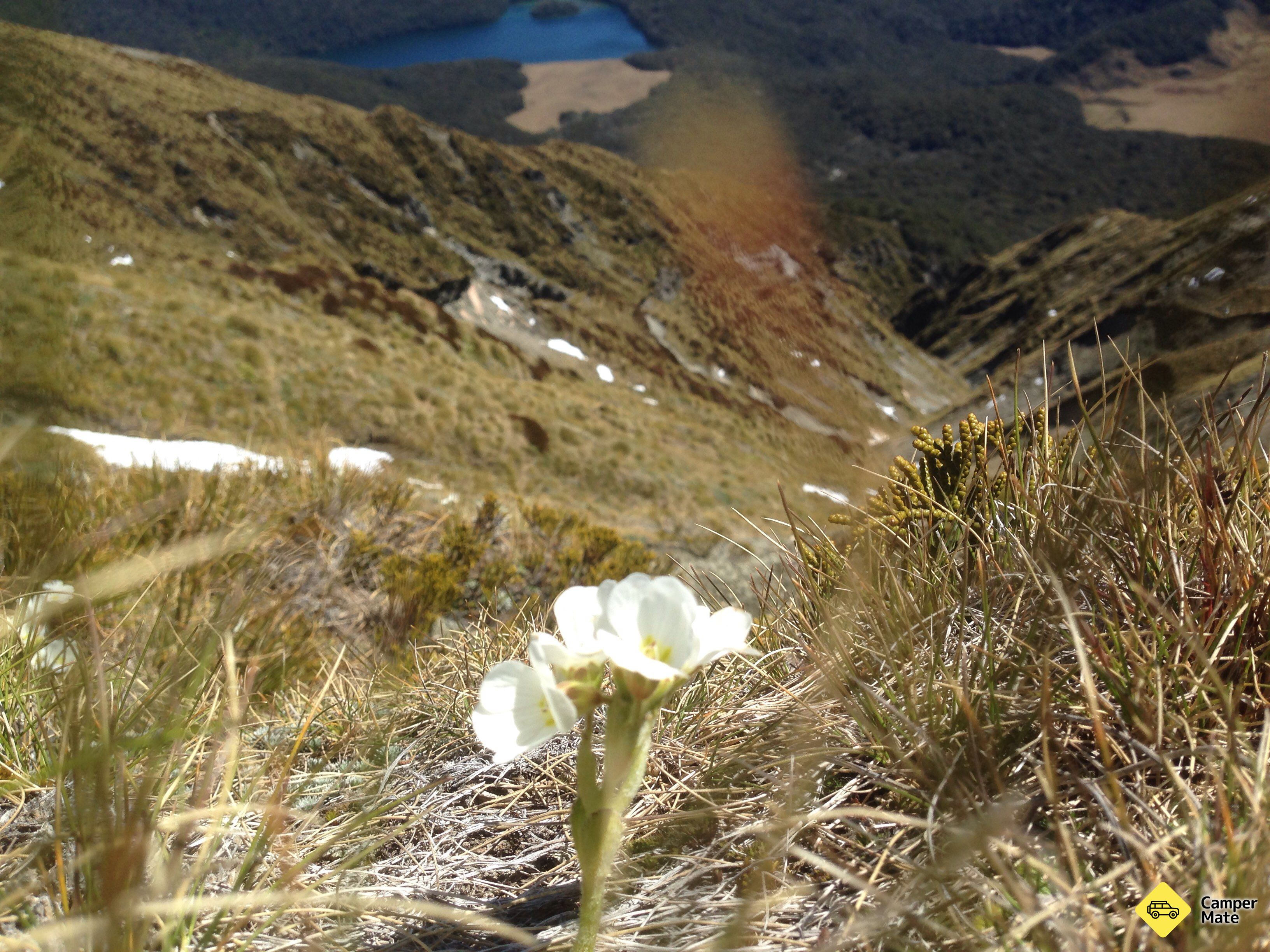 Les anmeldelser av Mt Burns Tarns Track - Image 2