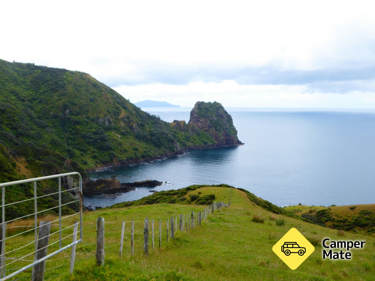 Coromandel Coastal Walkway के बारे में टिप्पणियाँ - Image 3