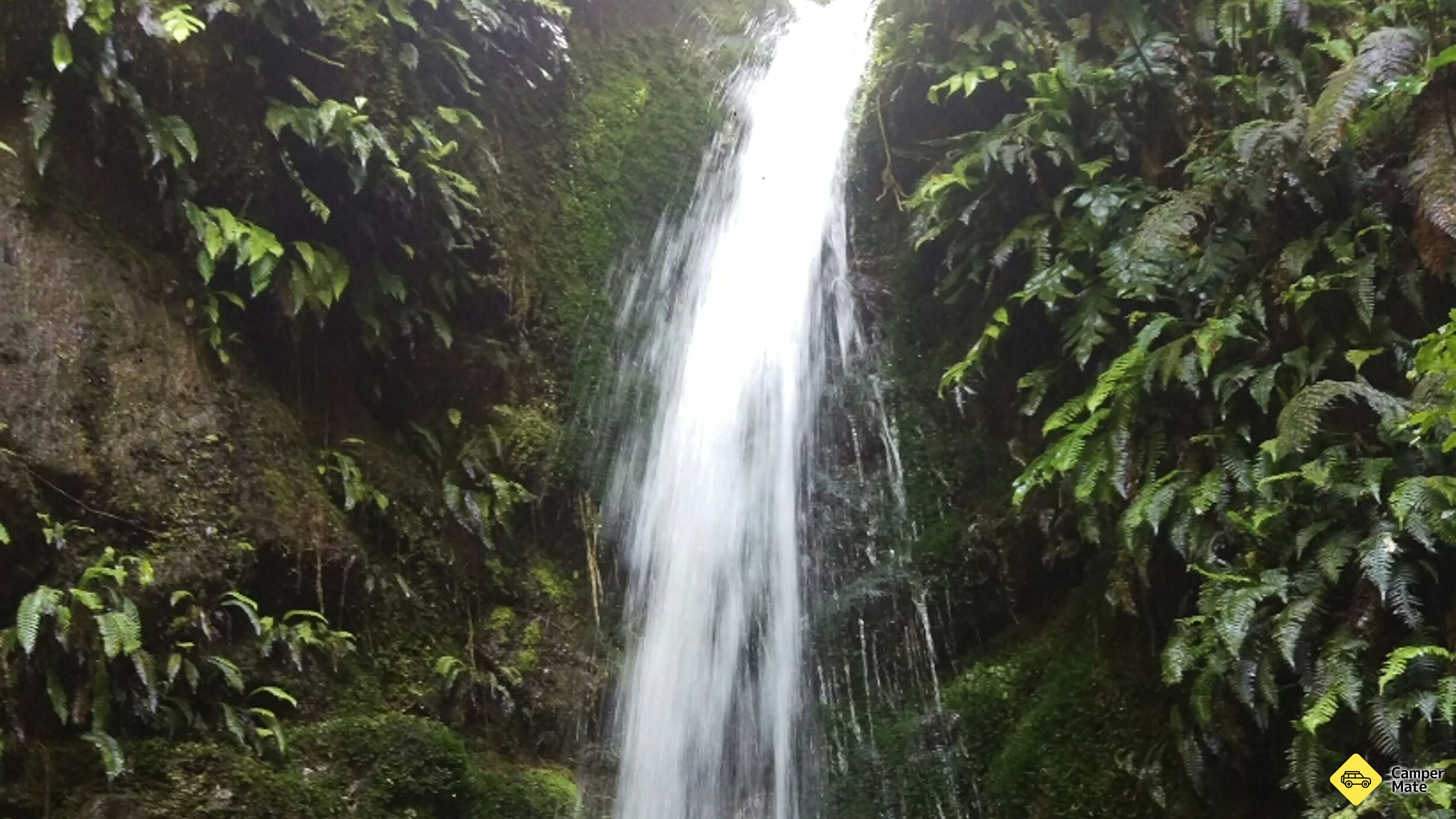 Emily Falls Track