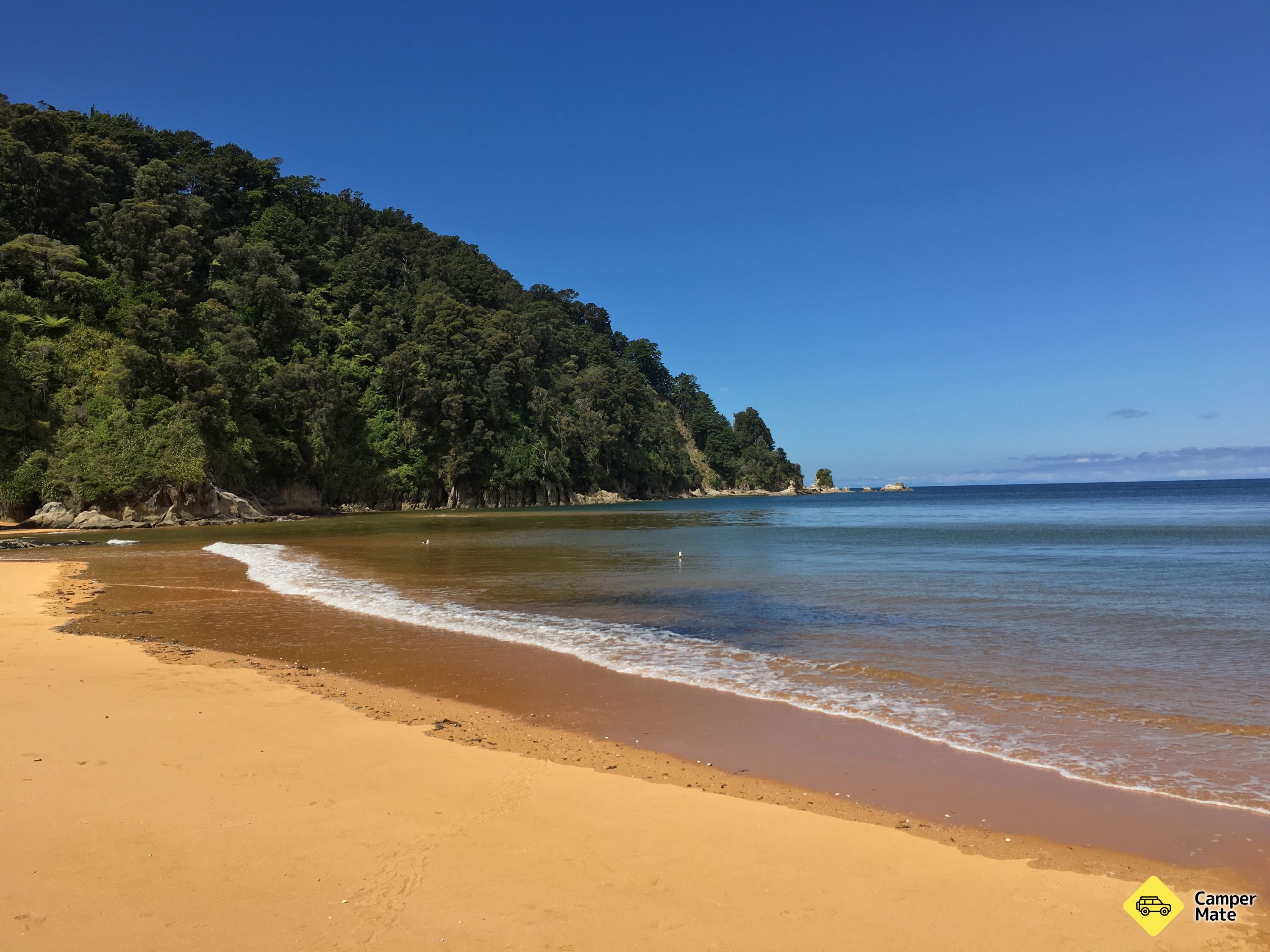 Totaranui Campground