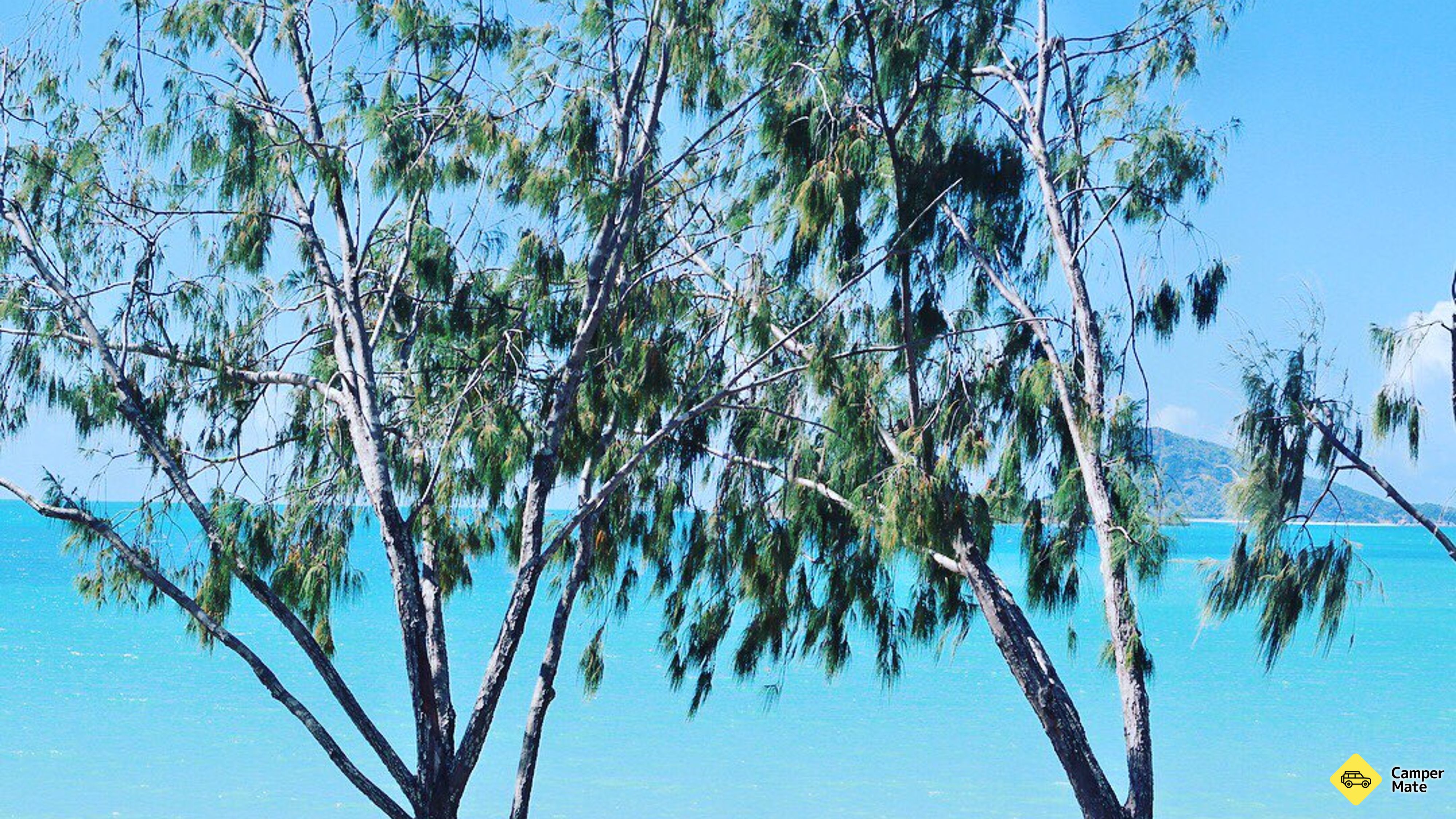 Más sobre Hydeaway Bay Beach