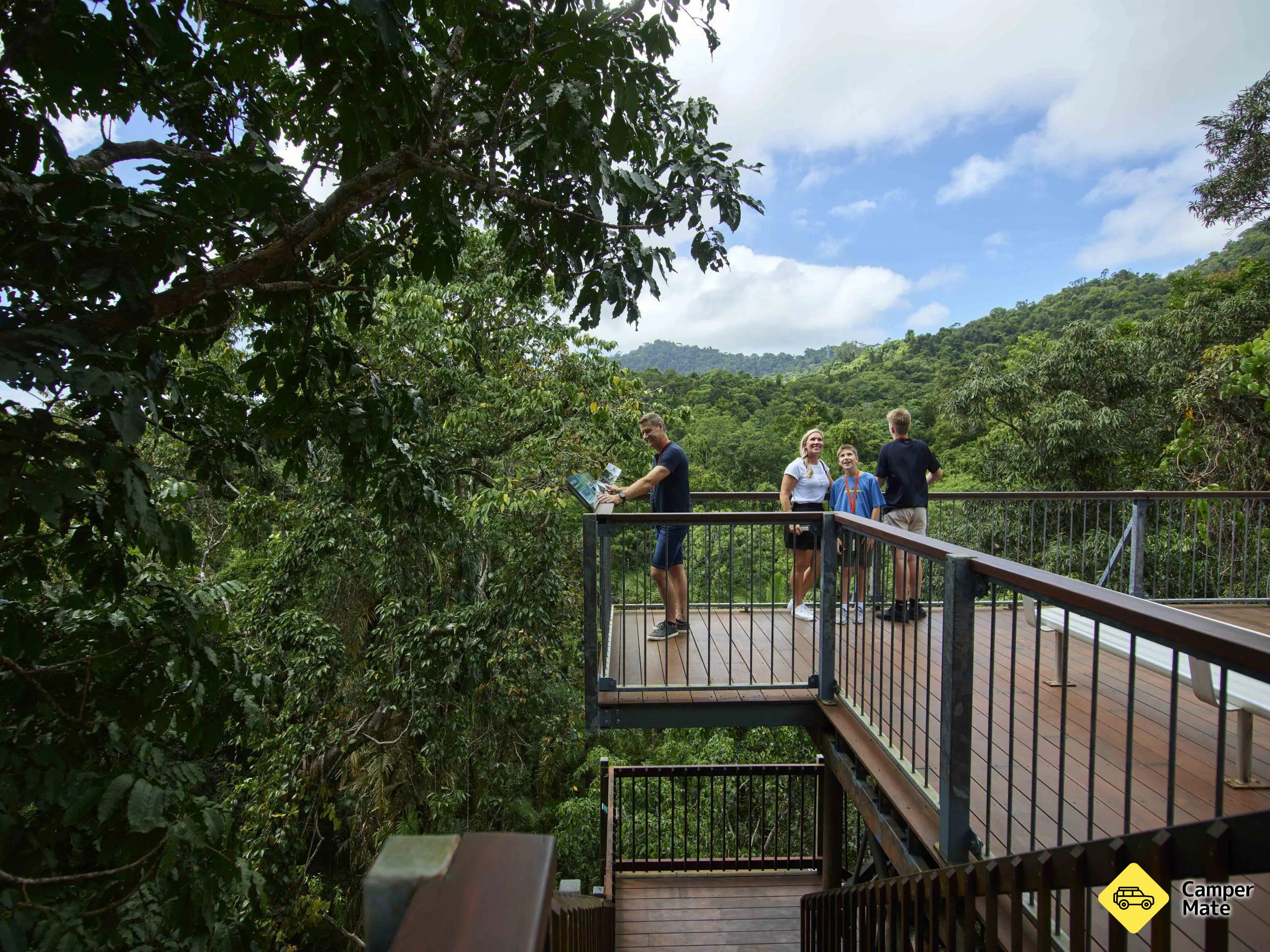 Daintree Discovery Centre - Image 2