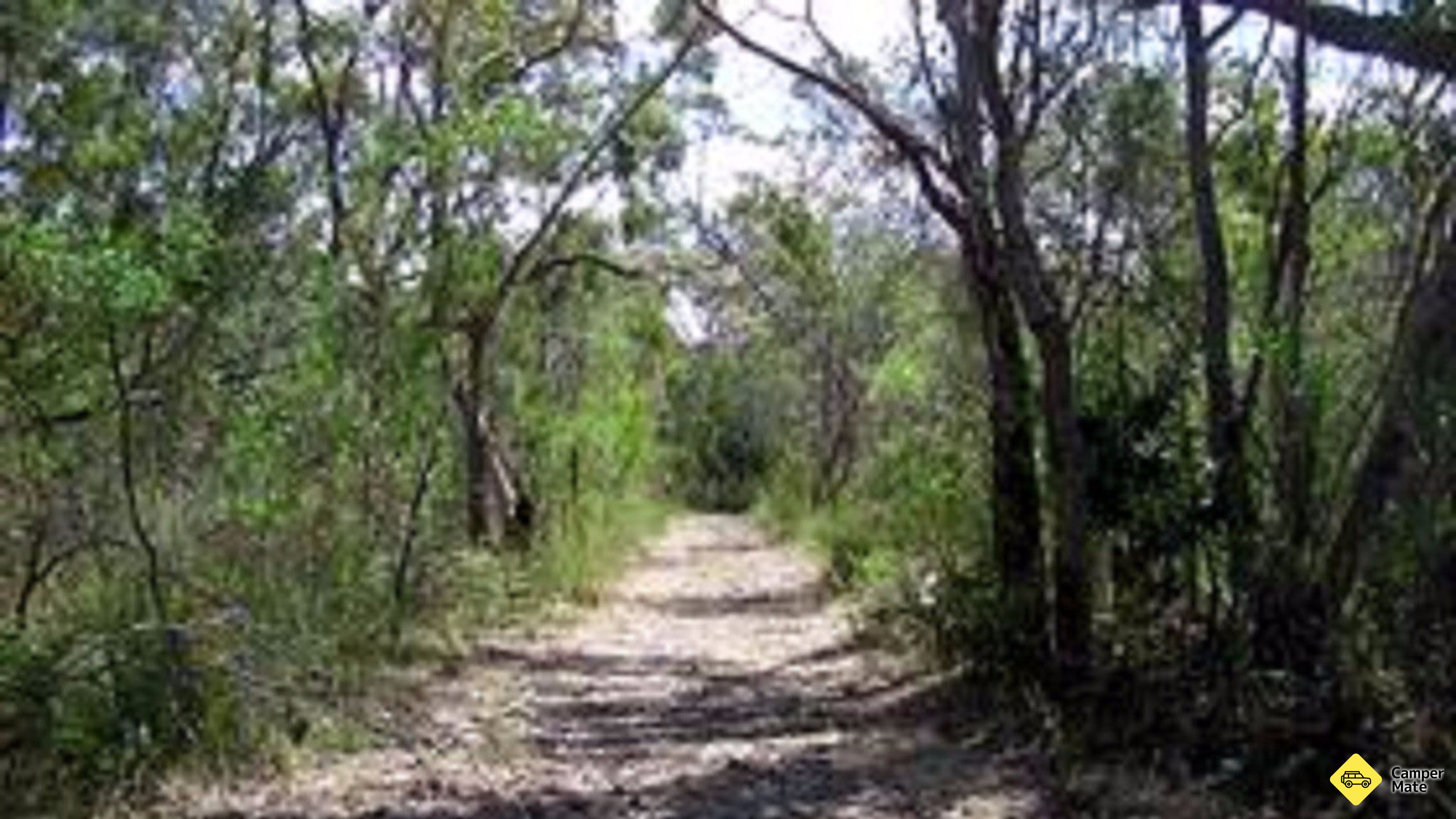 El paseo de Lanky