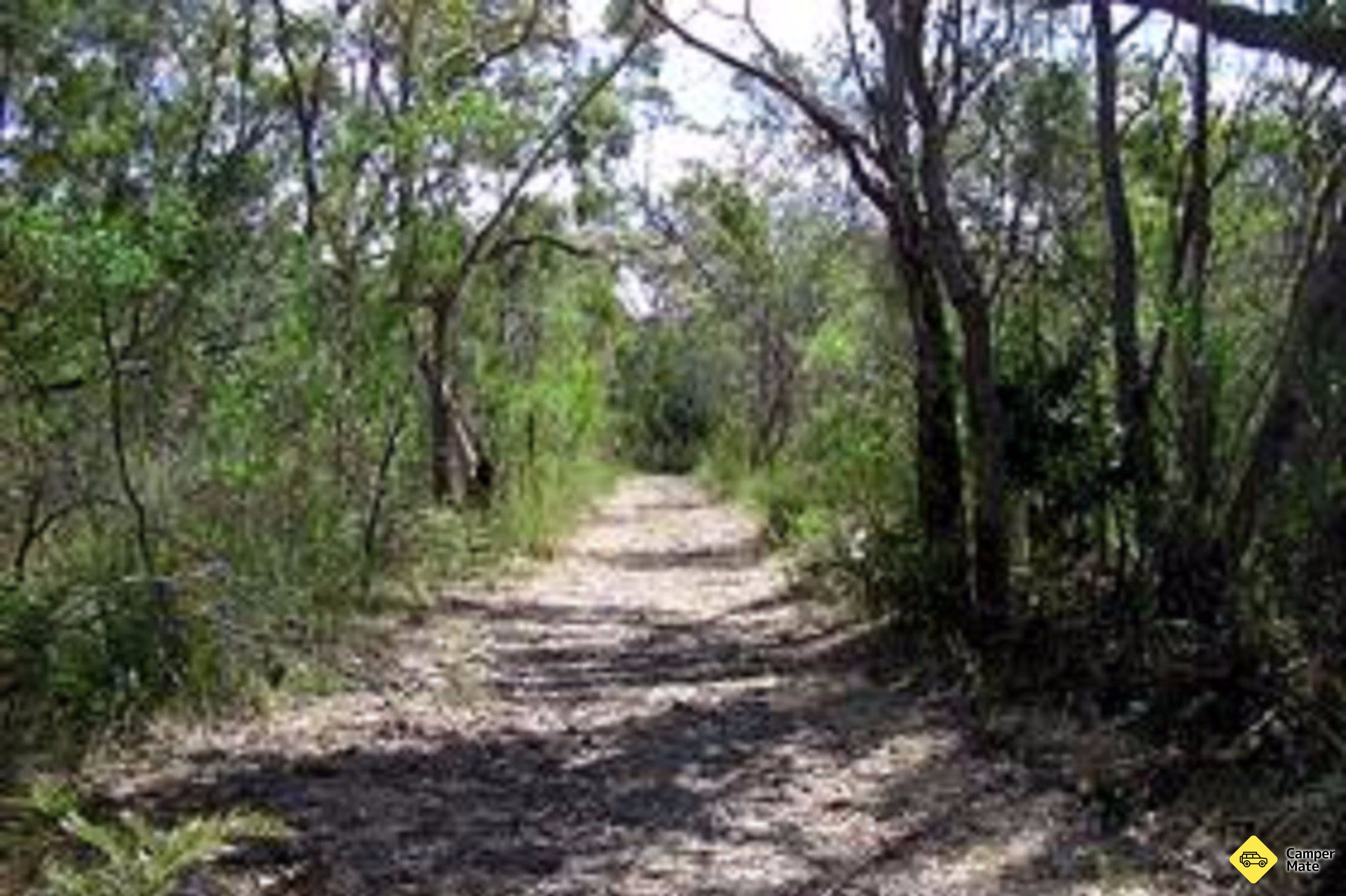 El paseo de Lanky