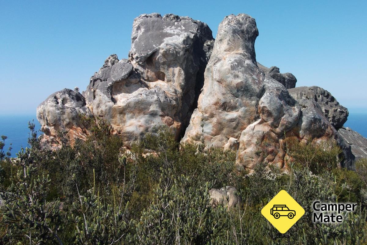 مطار East Mount Barron Trail - Image 2