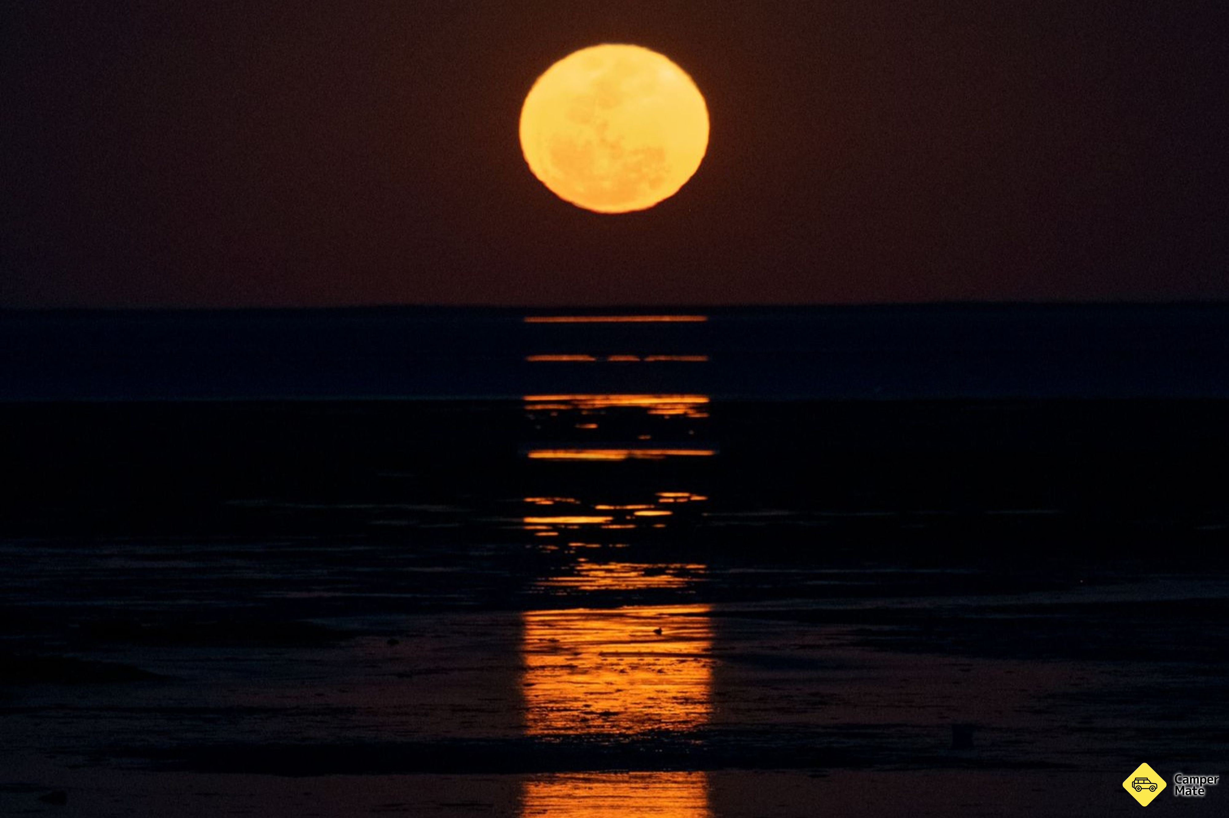Staircase to the Moon - Image 2