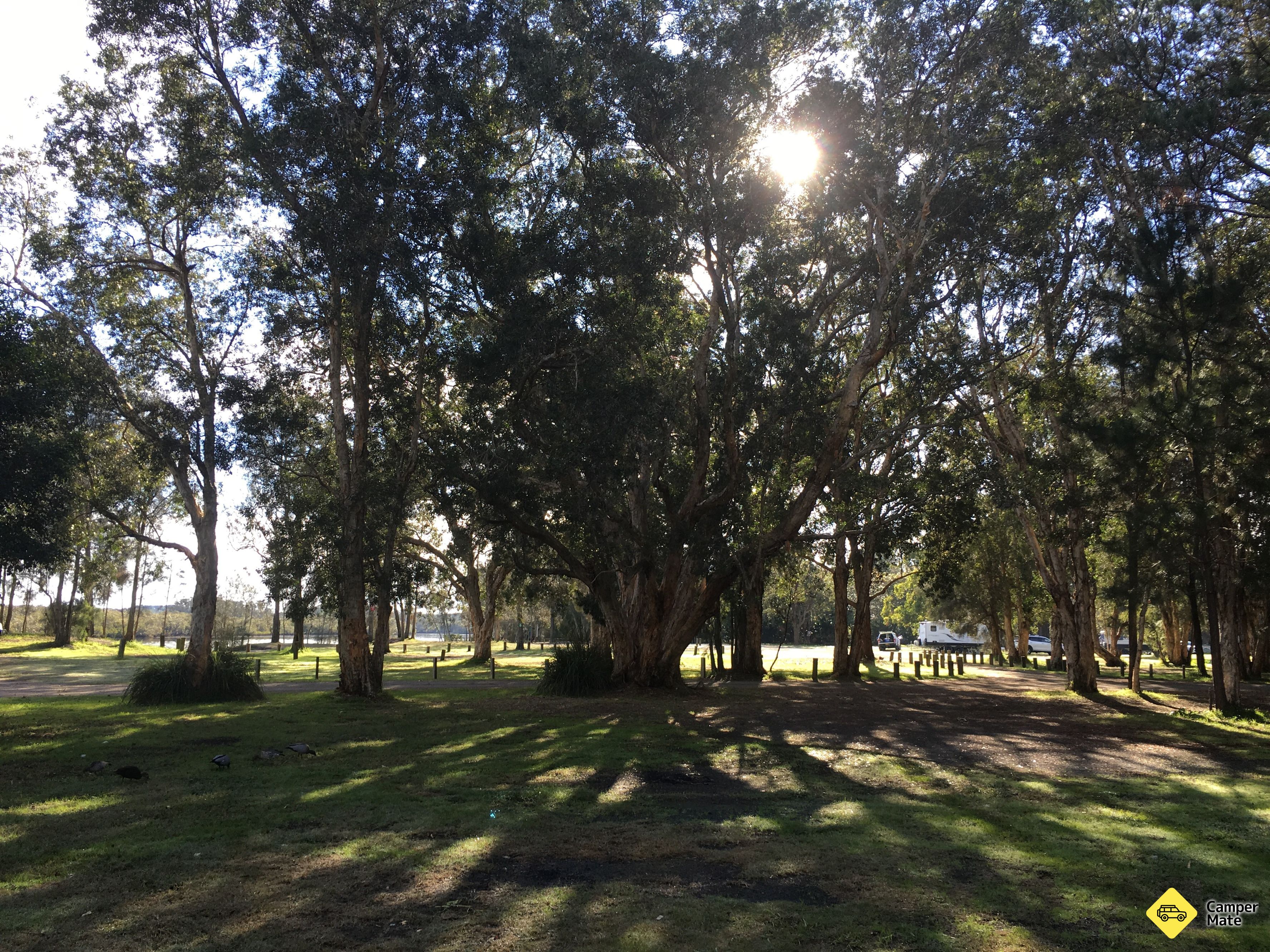 Myall River Camp - Image 2