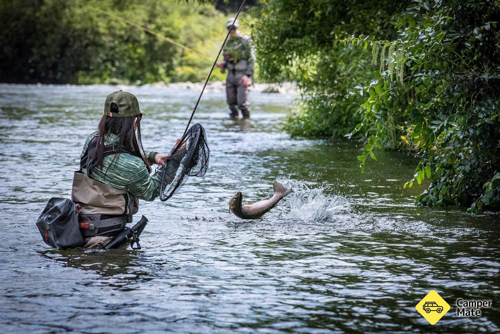 Fly Fish Ruapehu - Image 2