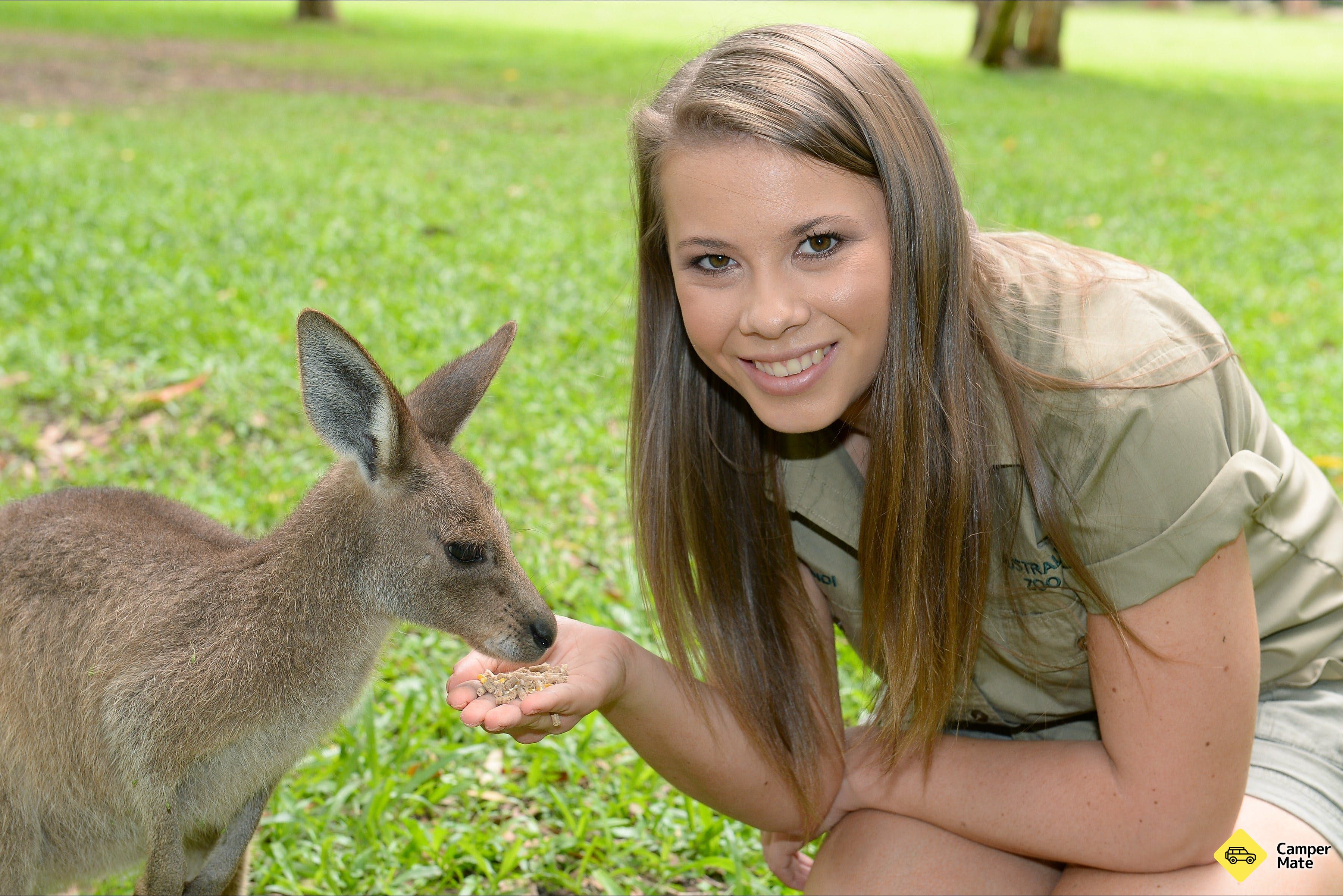 Australia Zoo - Image 3