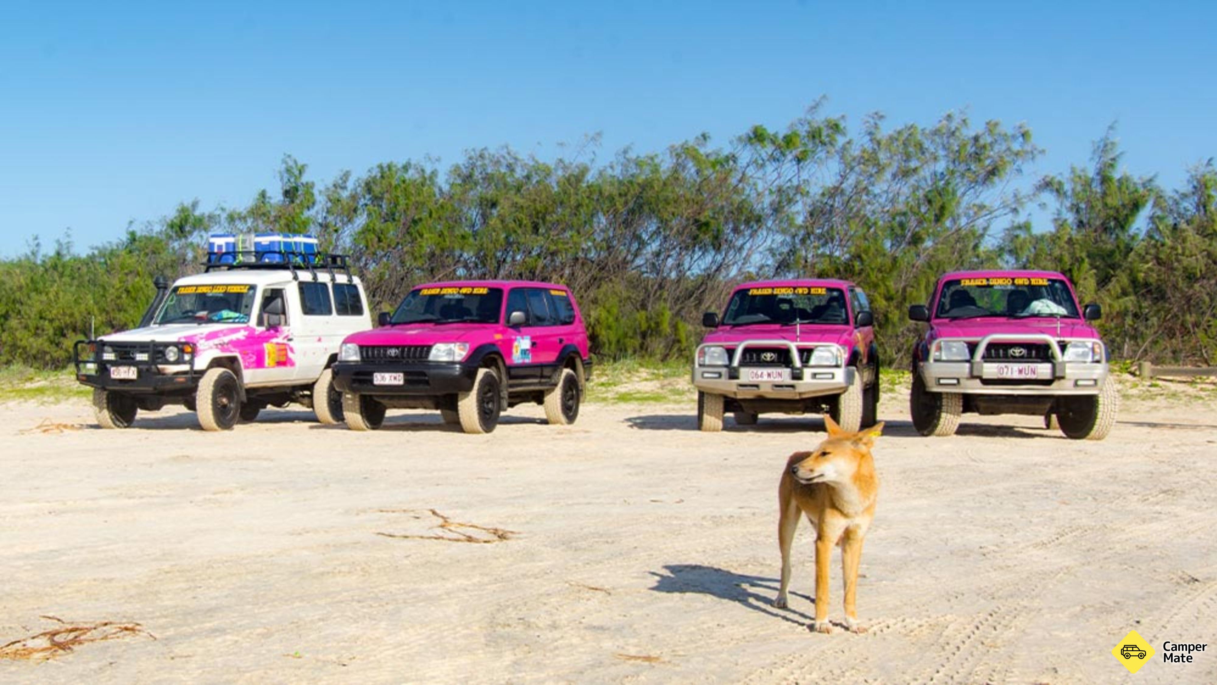 Mais sobre Fraser Island 4WD Adventures