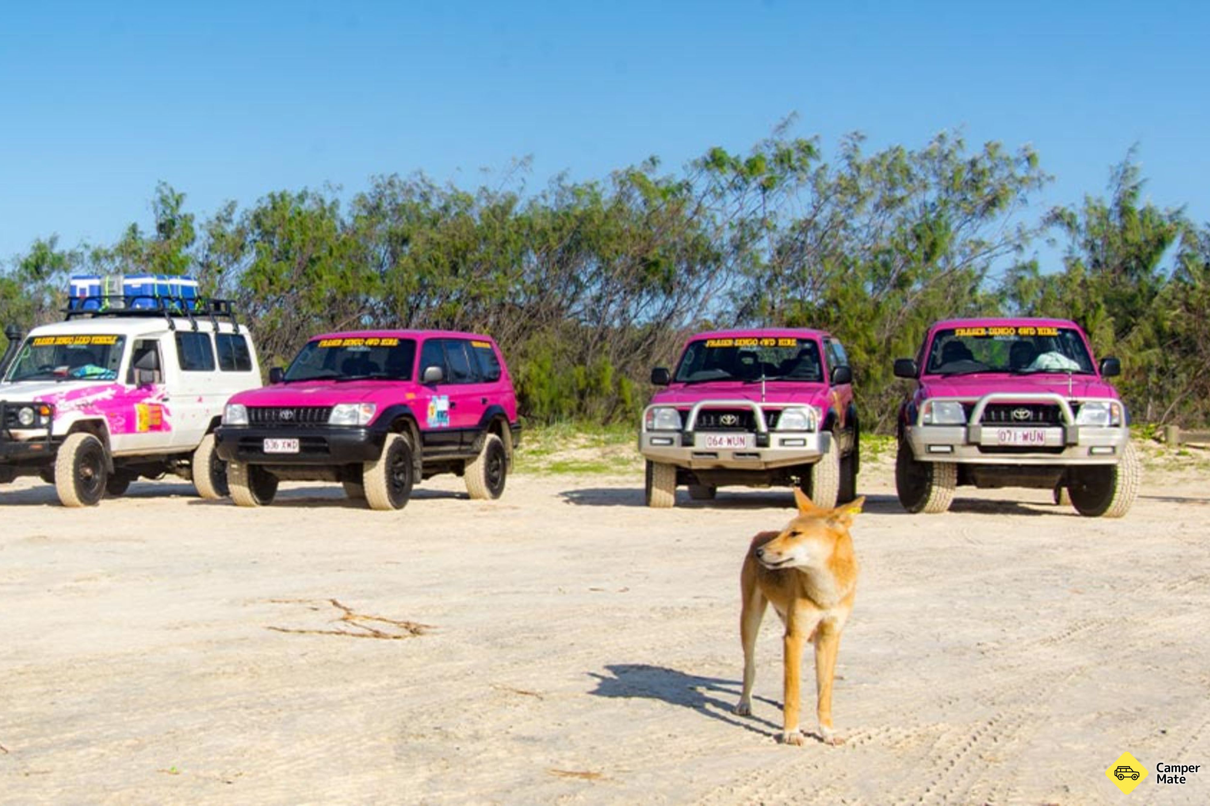 Mais sobre Fraser Island 4WD Adventures