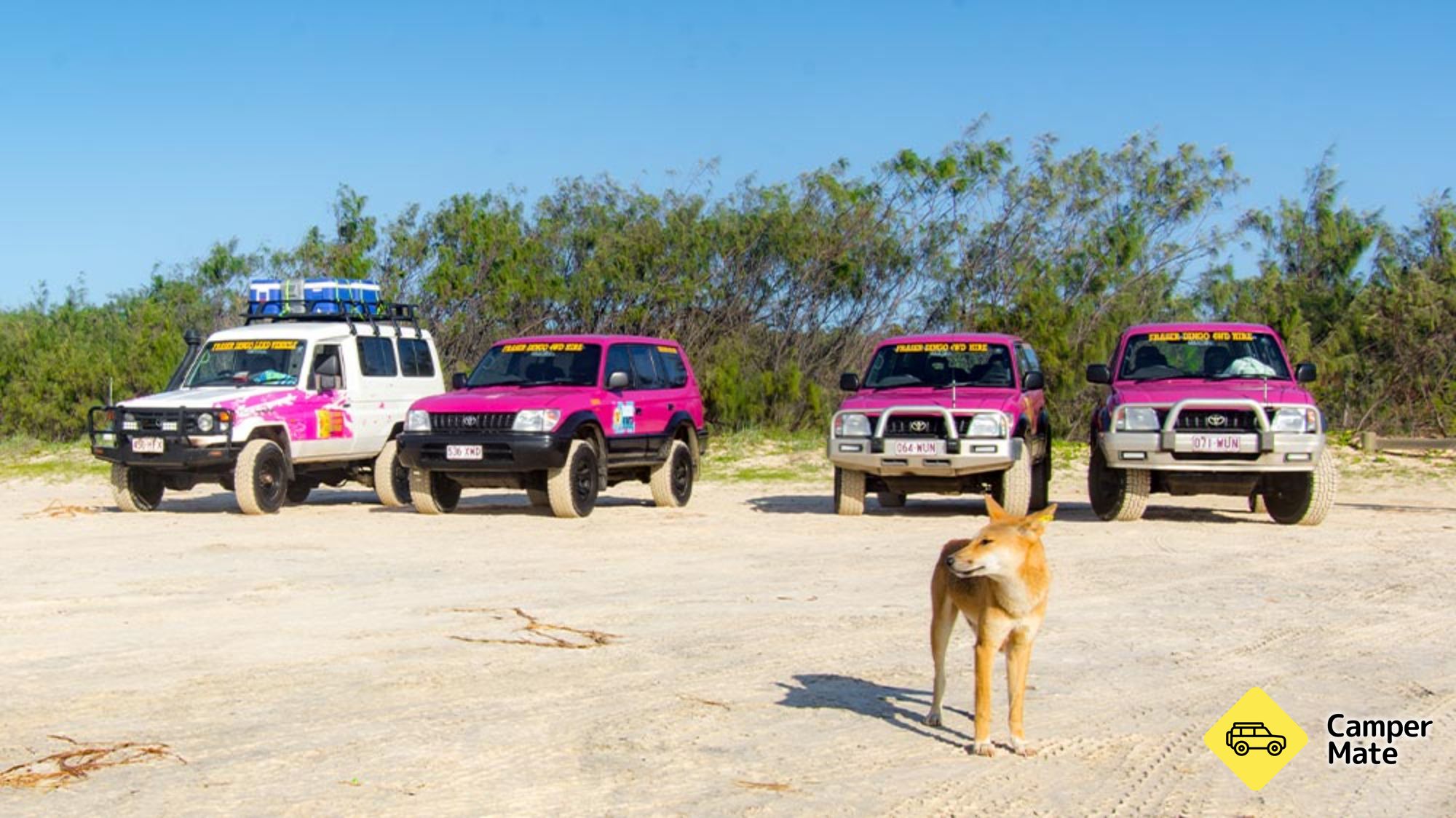 Fraser Island 4WD Adventures