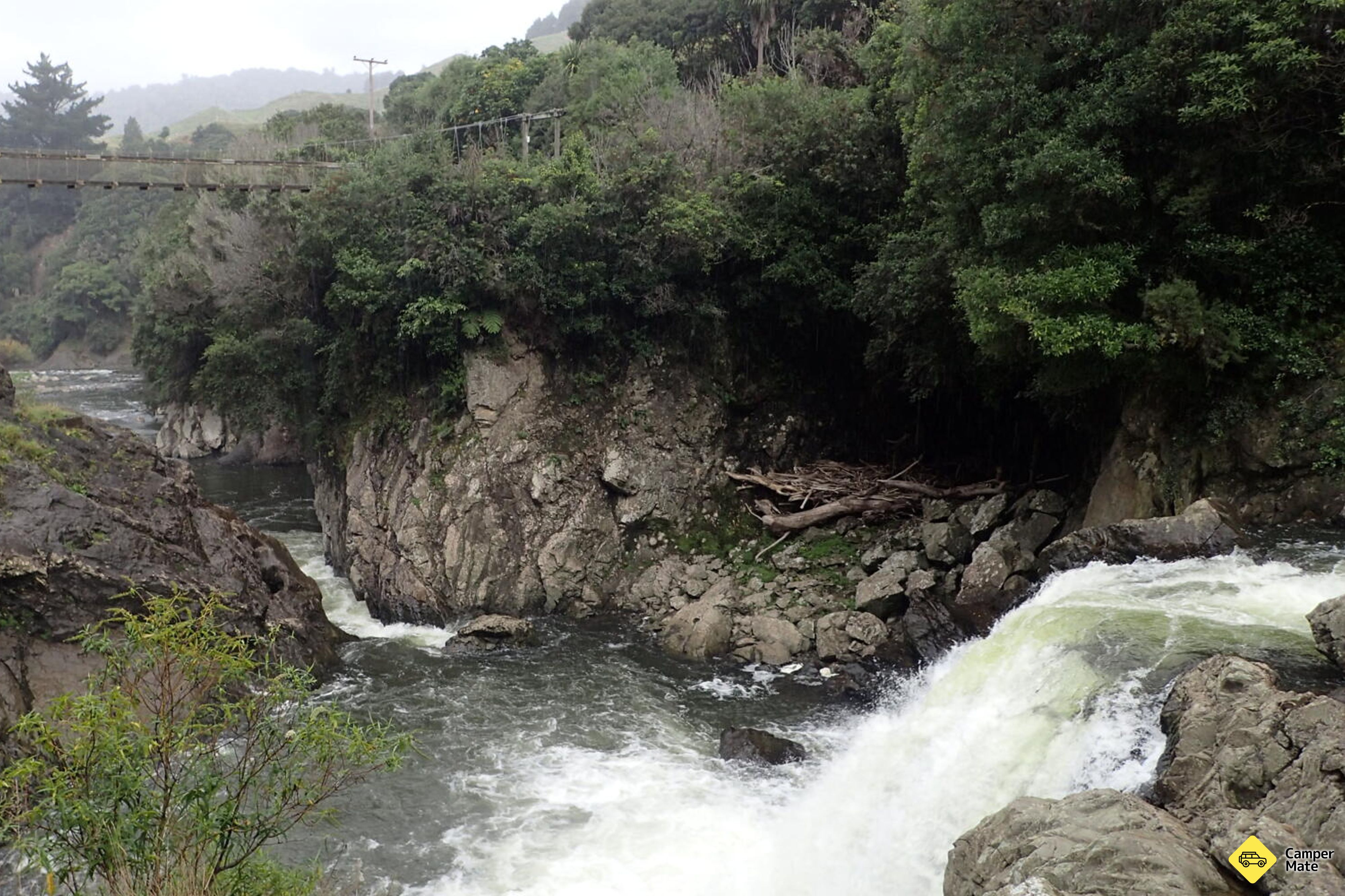 Whinray Scenic Réserve - Image 2