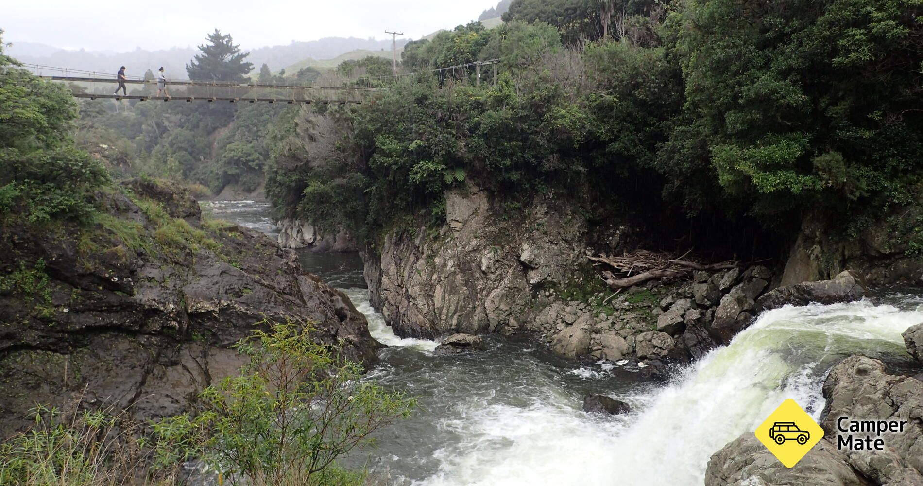 رحلات Whinray Scenic Reserve Track - Image 2
