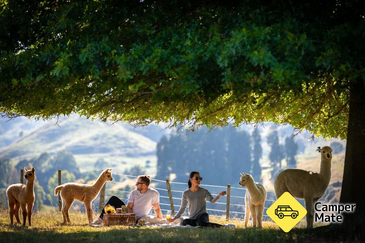 Nevalea Alpaca Farm