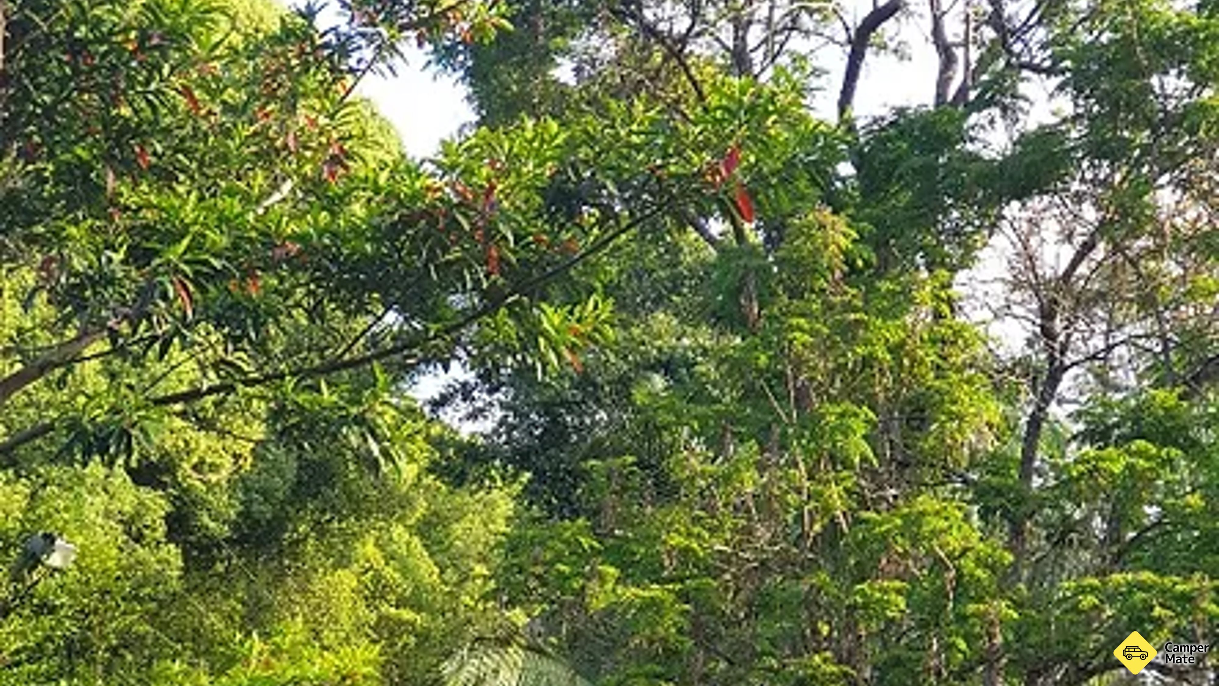 Mount Warning Rainforest Holiday Park