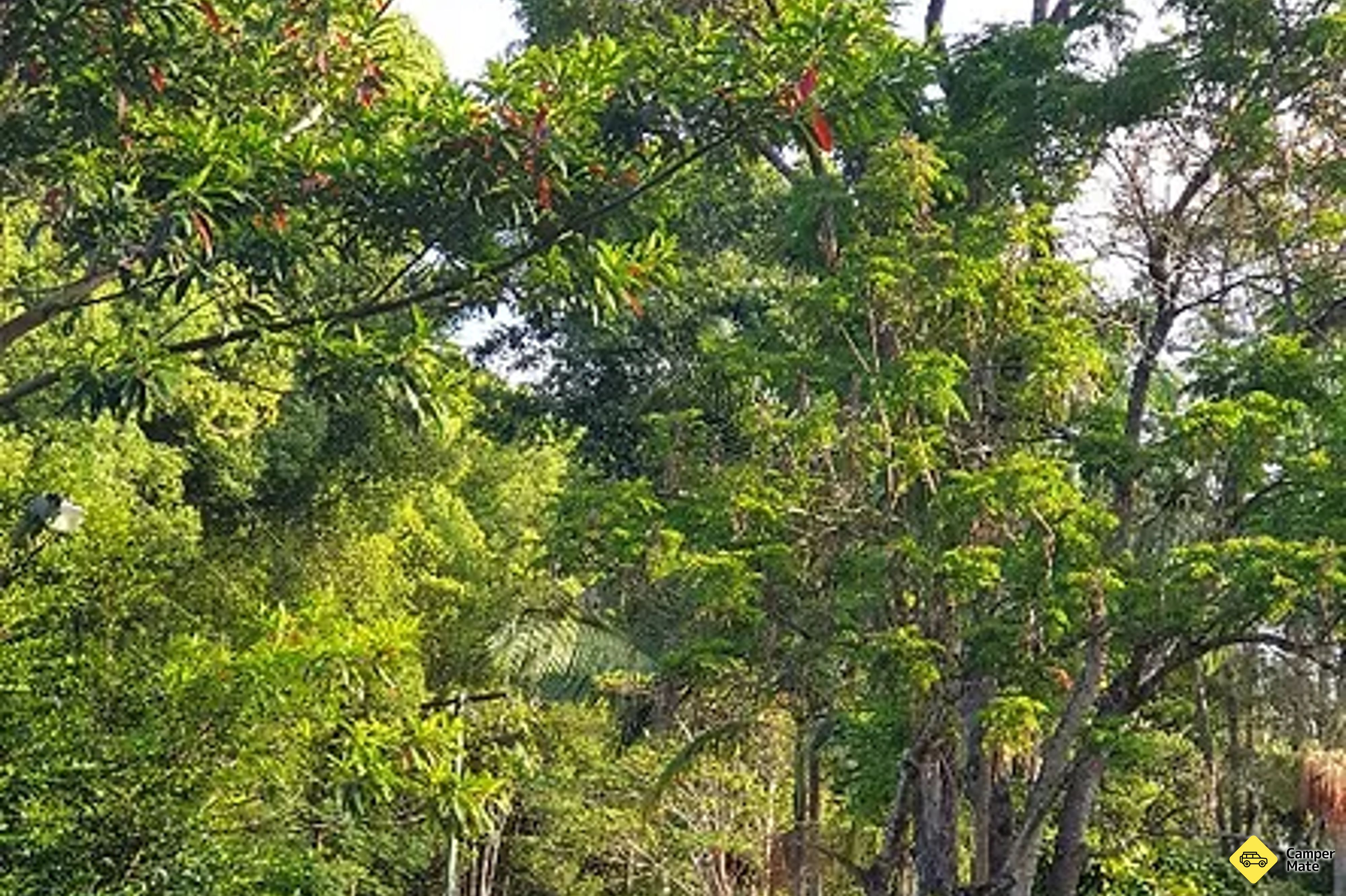 Mount Warning Rainforest Holiday Park