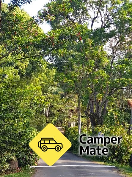 Mount Warning Rainforest Holiday Park