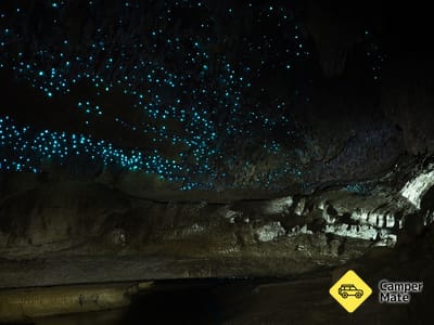 Waipu Caves Track