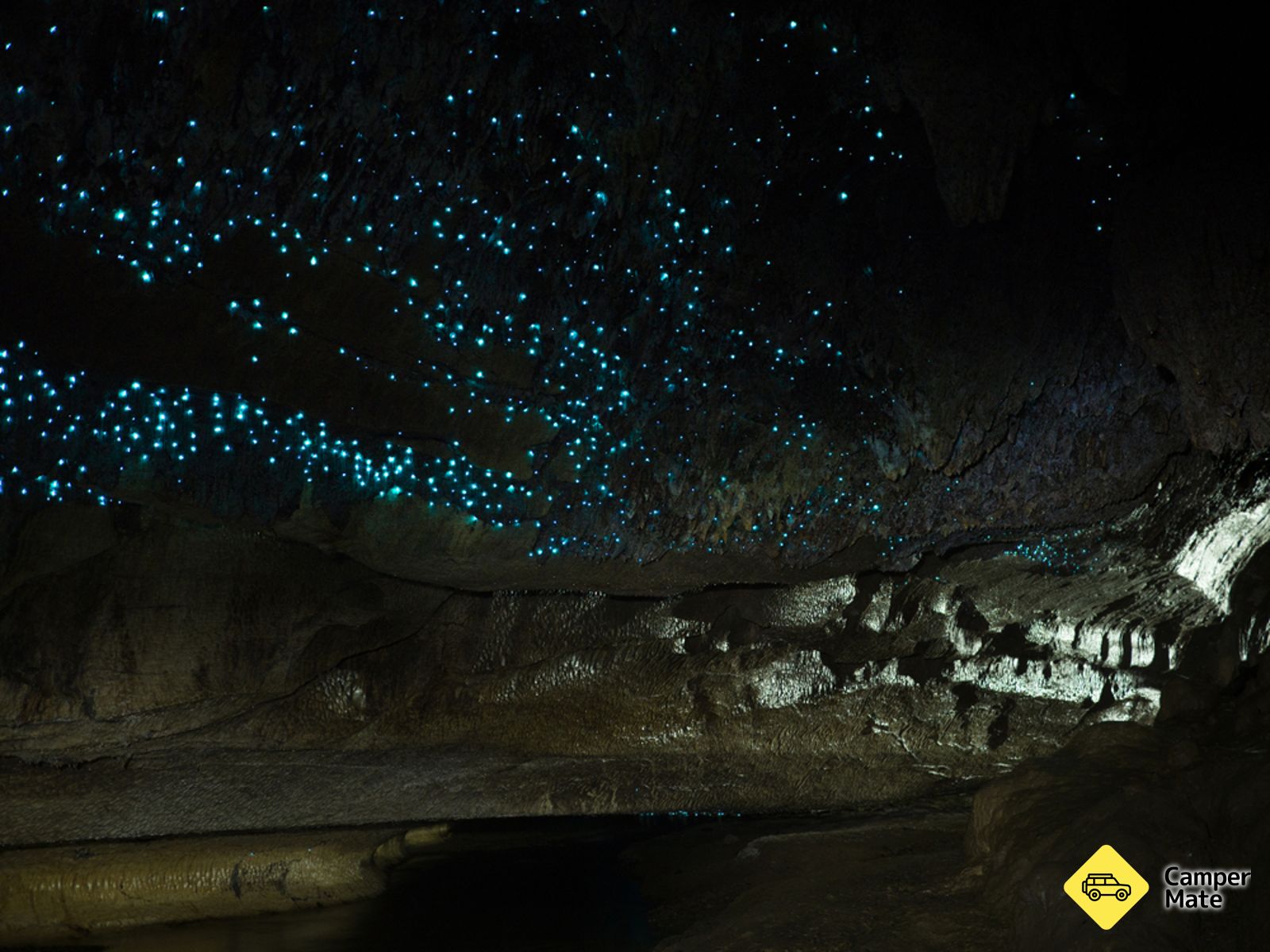 Waipu Caves