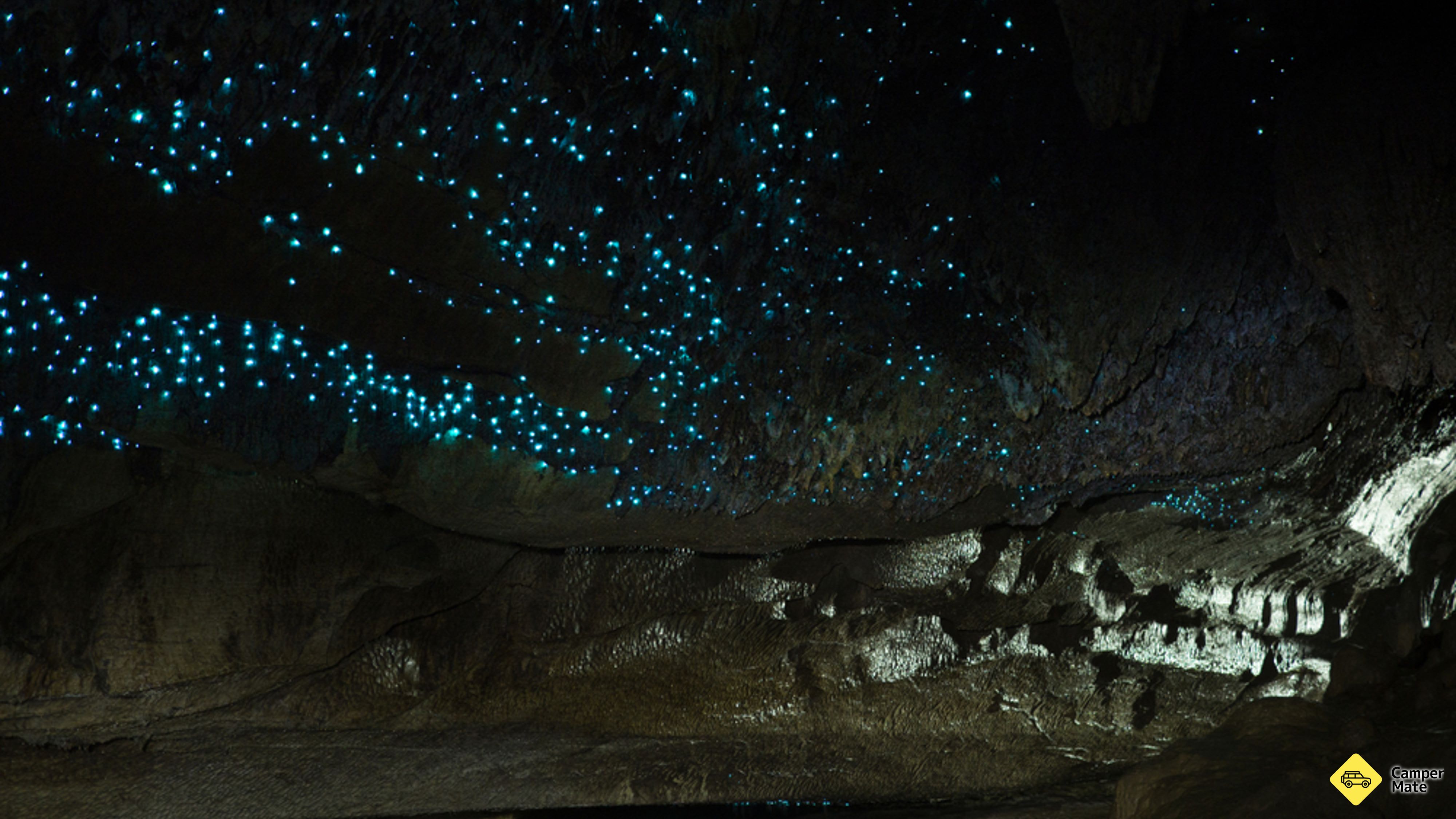 Ścieżka Waipu Caves
