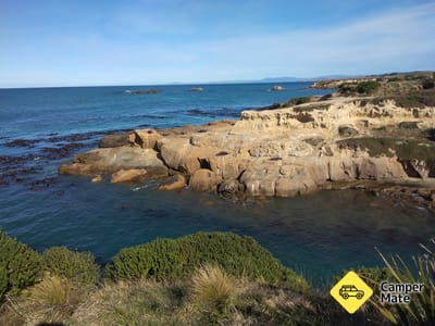 Shag Point