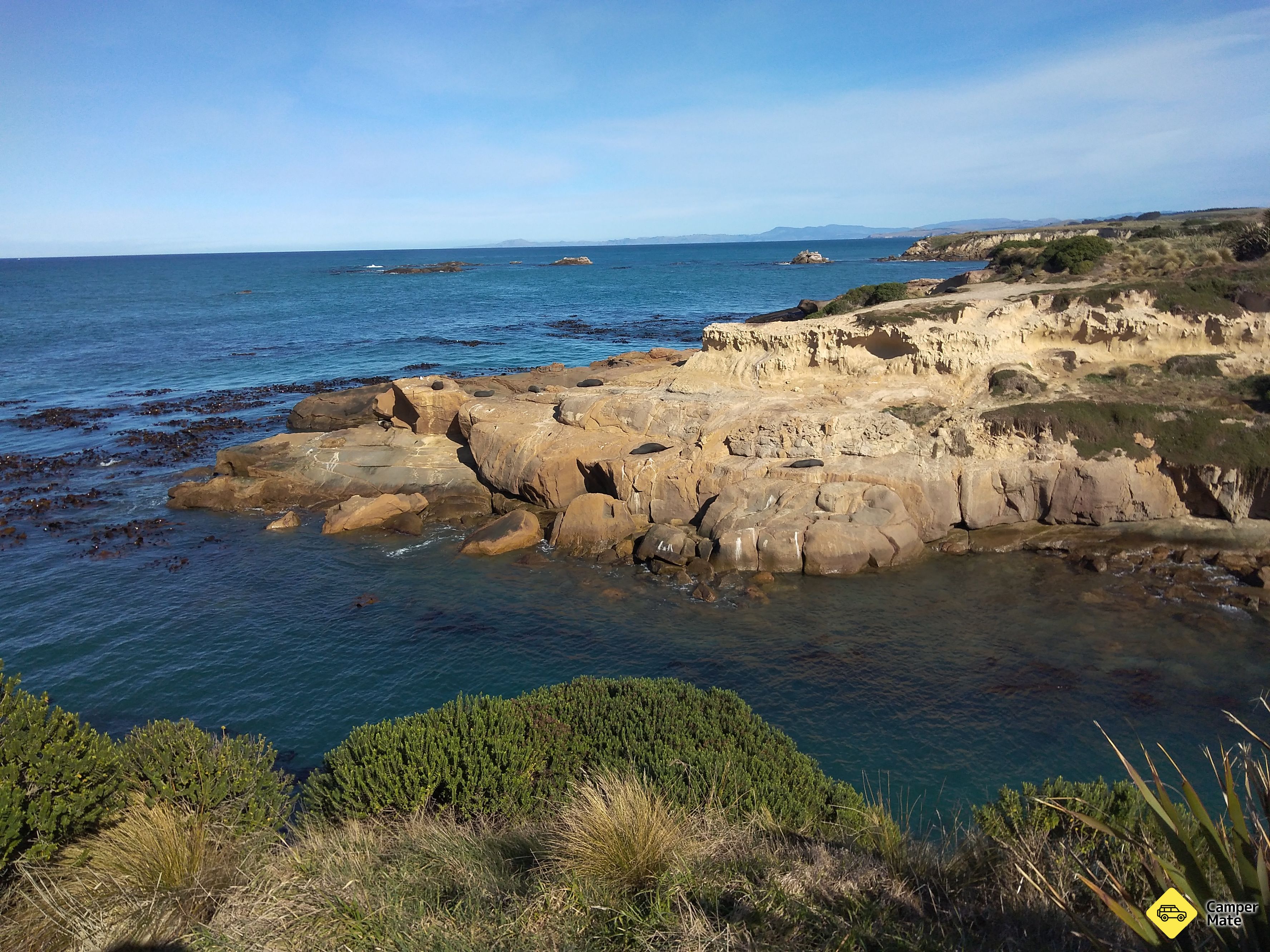 Shag Point