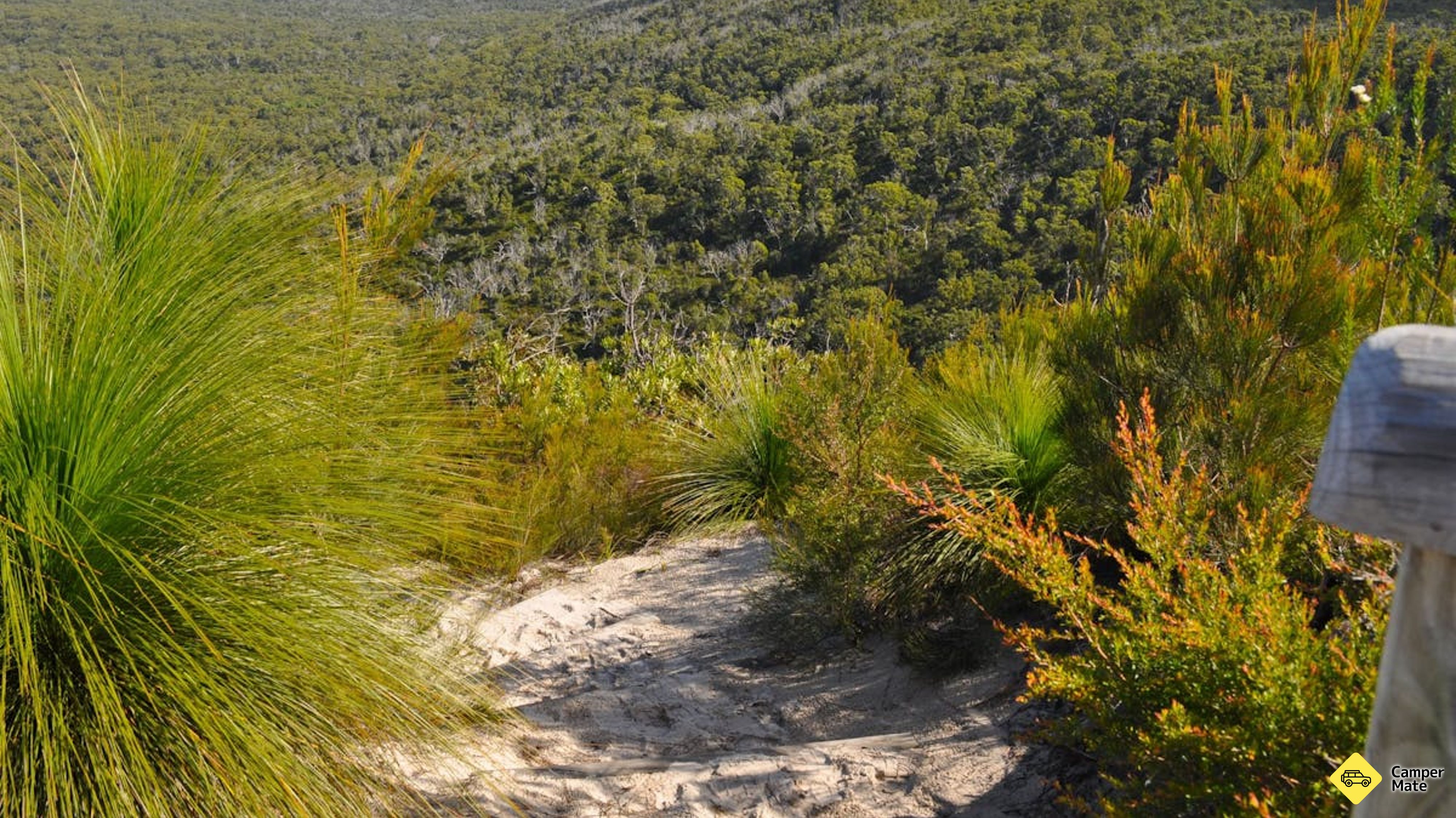 Amity Point Camping Ground photo 5