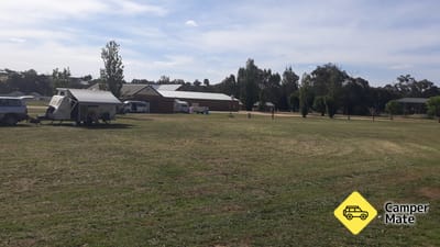 Young Showground