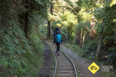 Karangahake Windows Walk