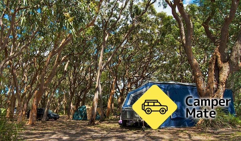 Stewart och Lloyds Campground - Image 2