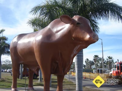 Statue van Rockhampton Bull
