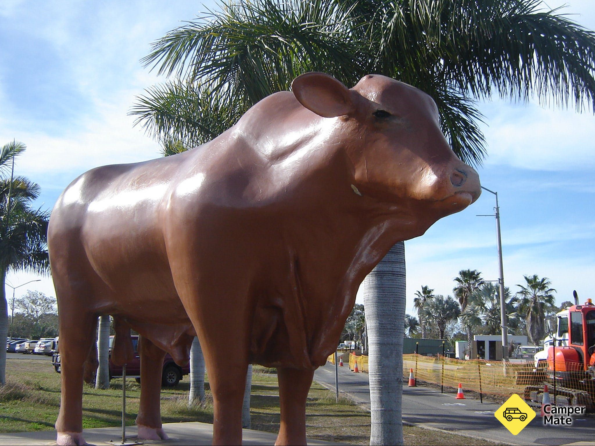 Statue van Rockhampton Bull