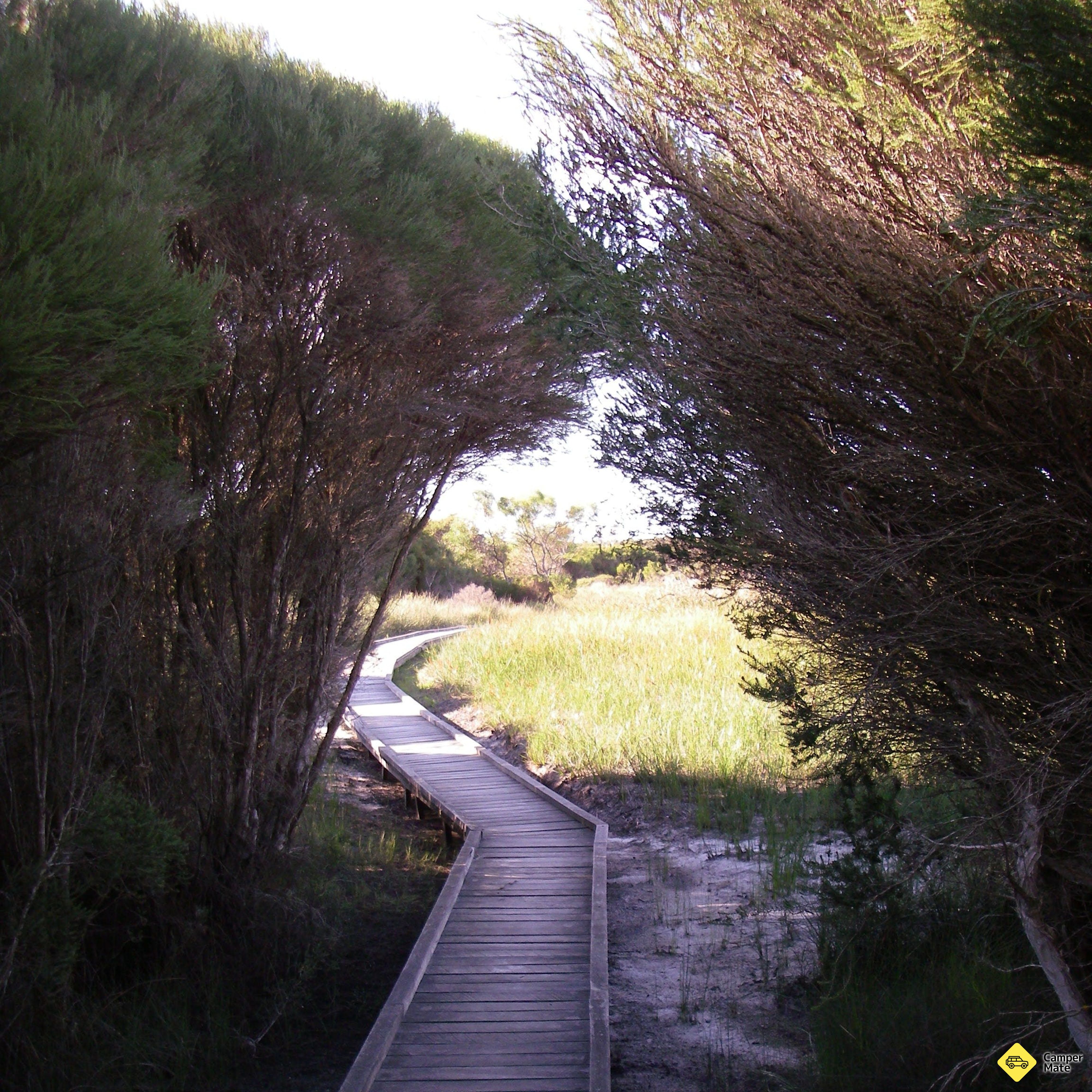 Kepwari Trails Wetland Wonderland - Image 2