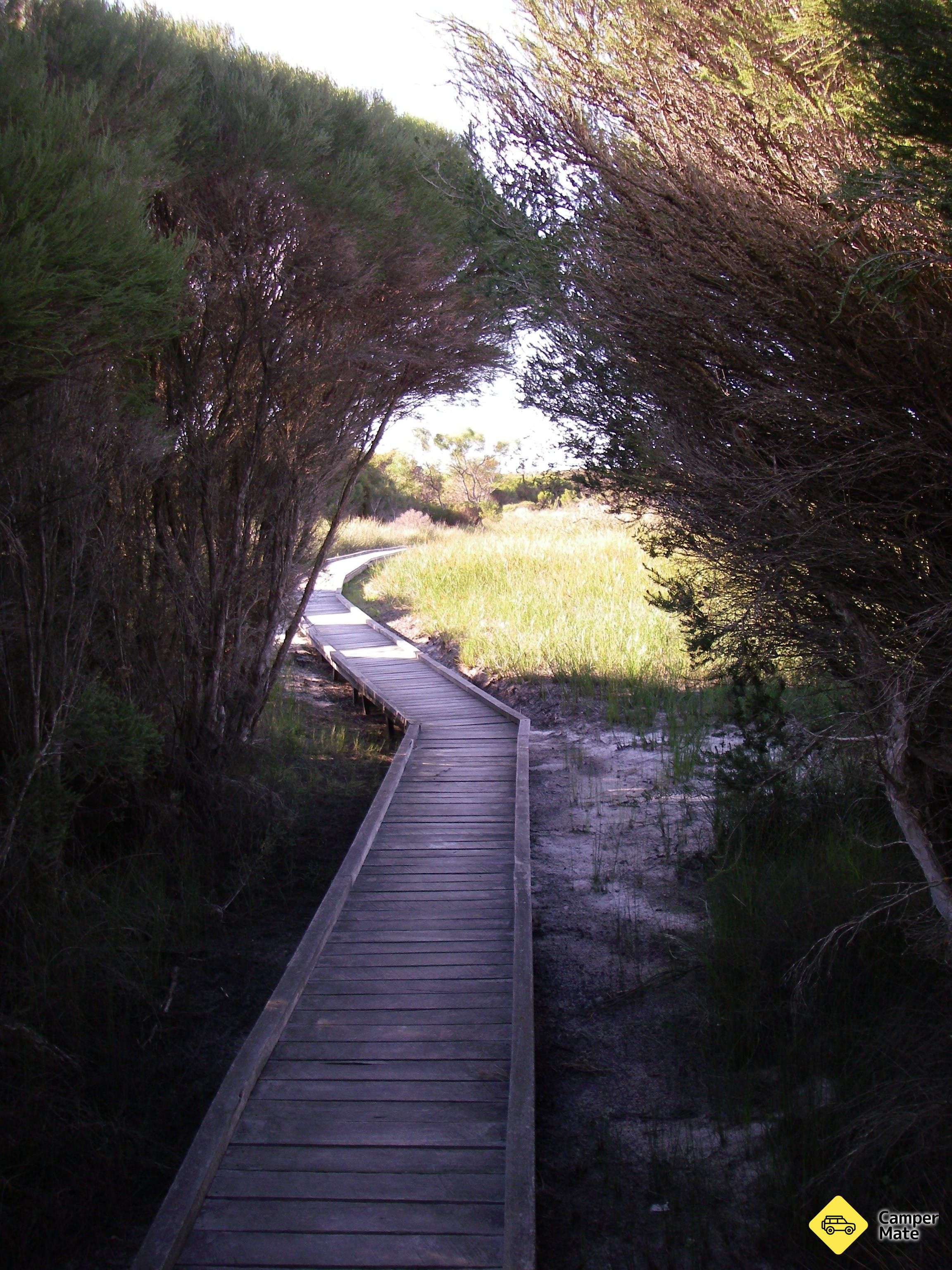 Tutte le informazioni su Kepwari Trails Wetland Wonderland - Image 2