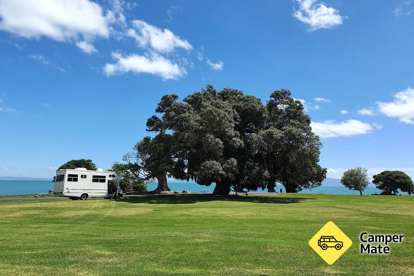 Waiomu Domain