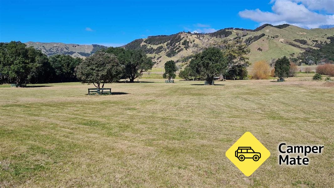 Anaura Bay Campsite