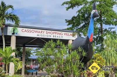 The Big Cassowary