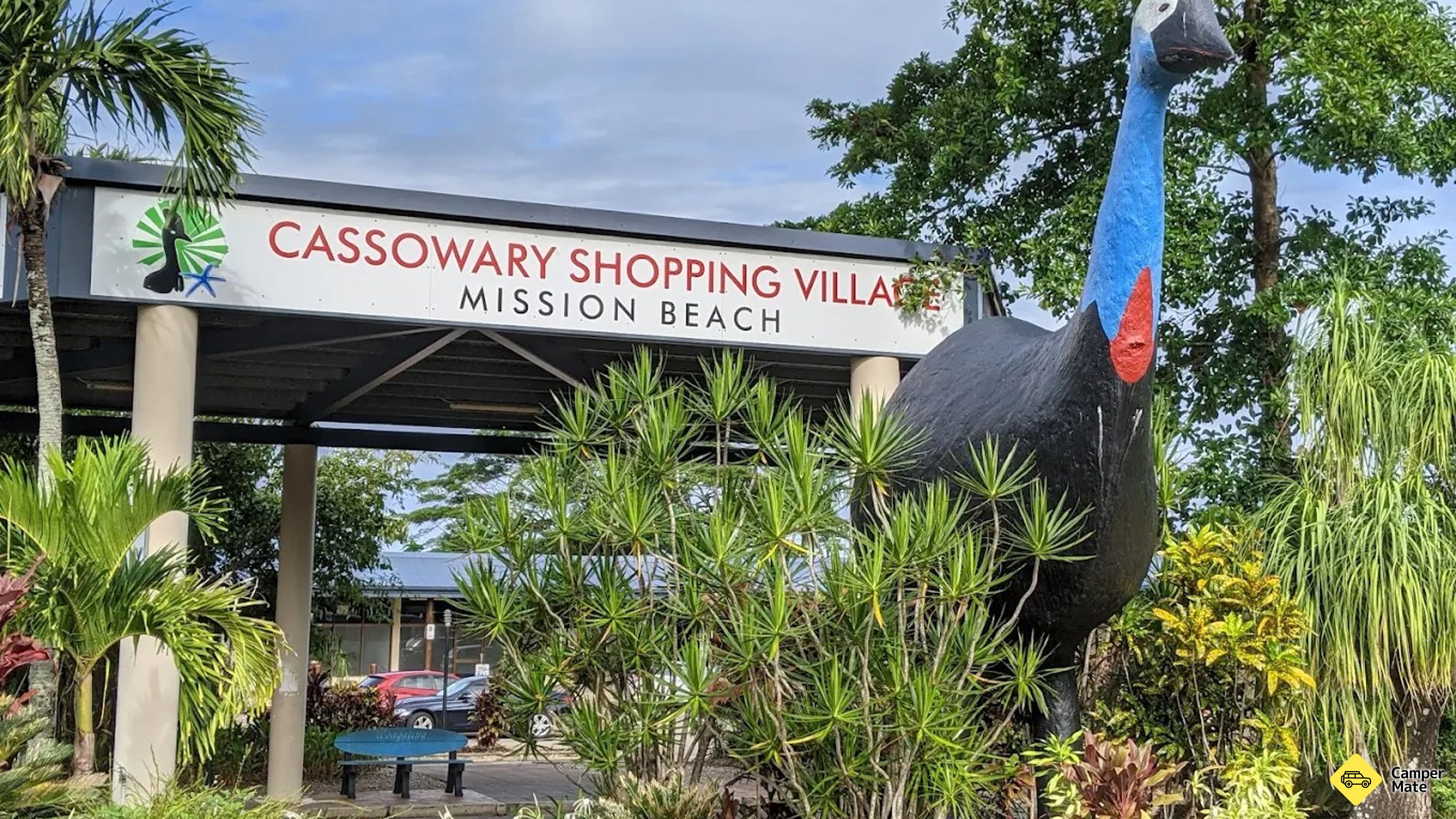 The Big Cassowary