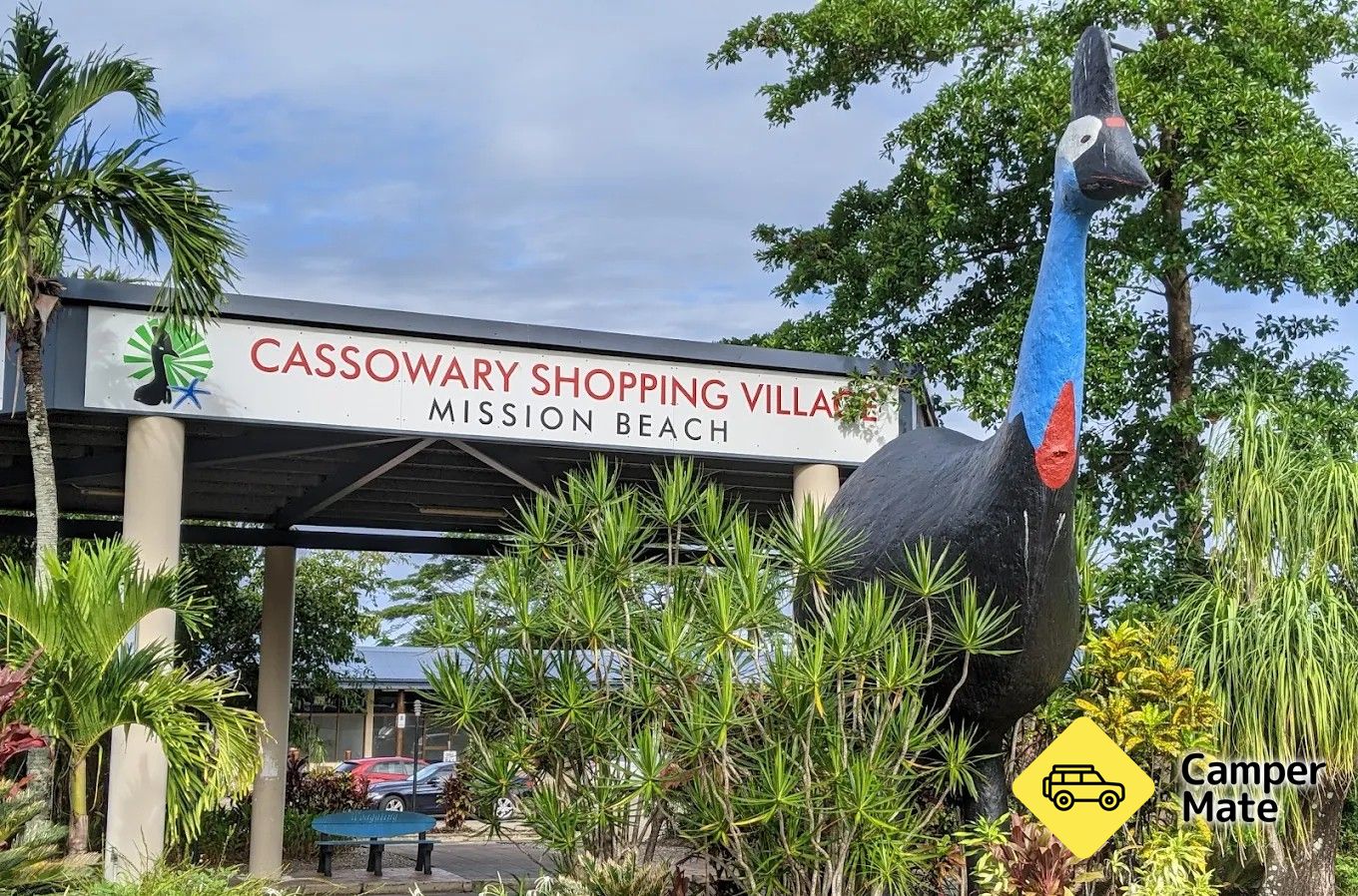 The Big Cassowary