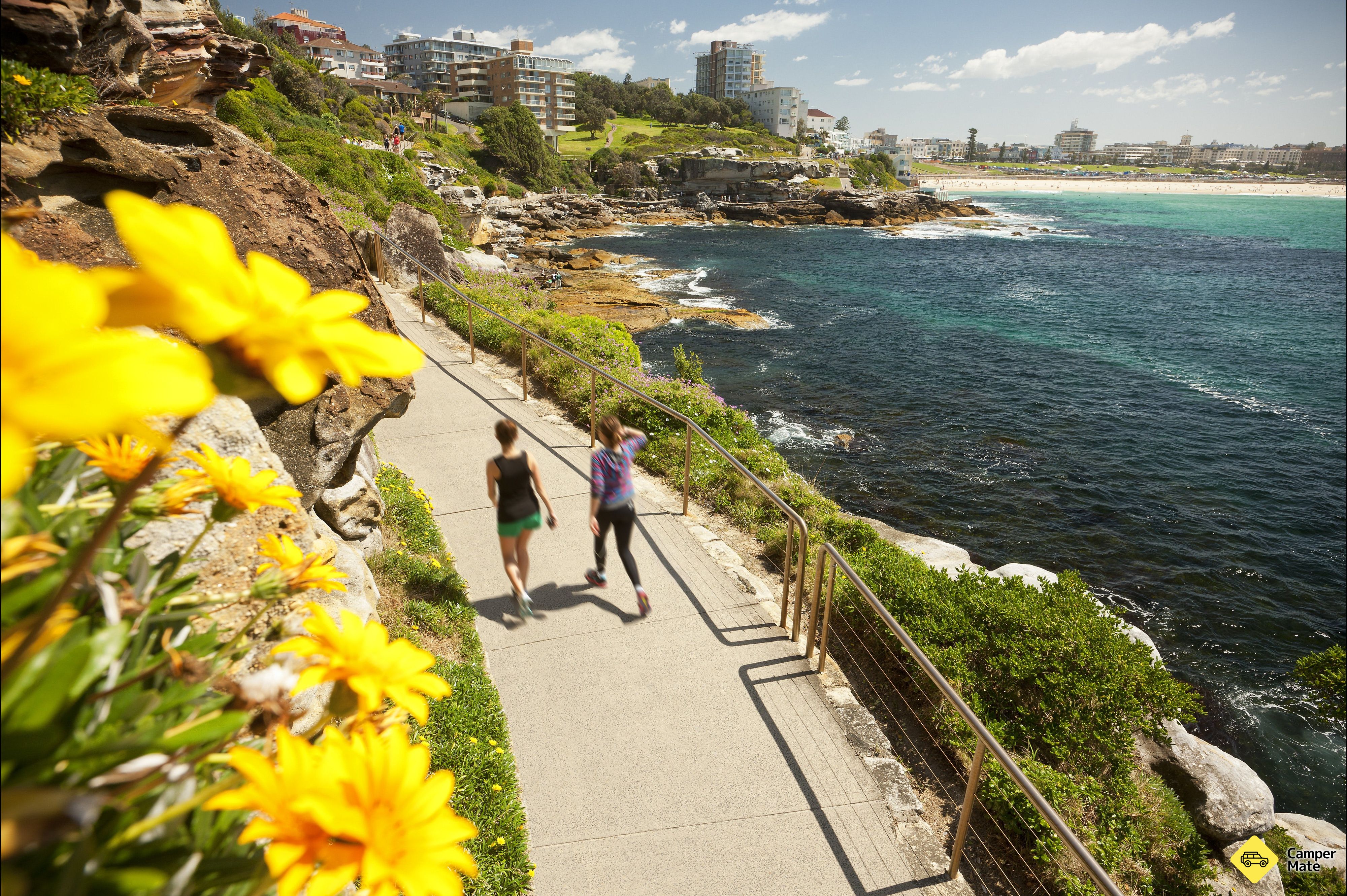 Bondi προς Bronte Coastal Walk - Image 3