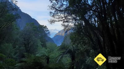 Fox Glacier South Side Walkway