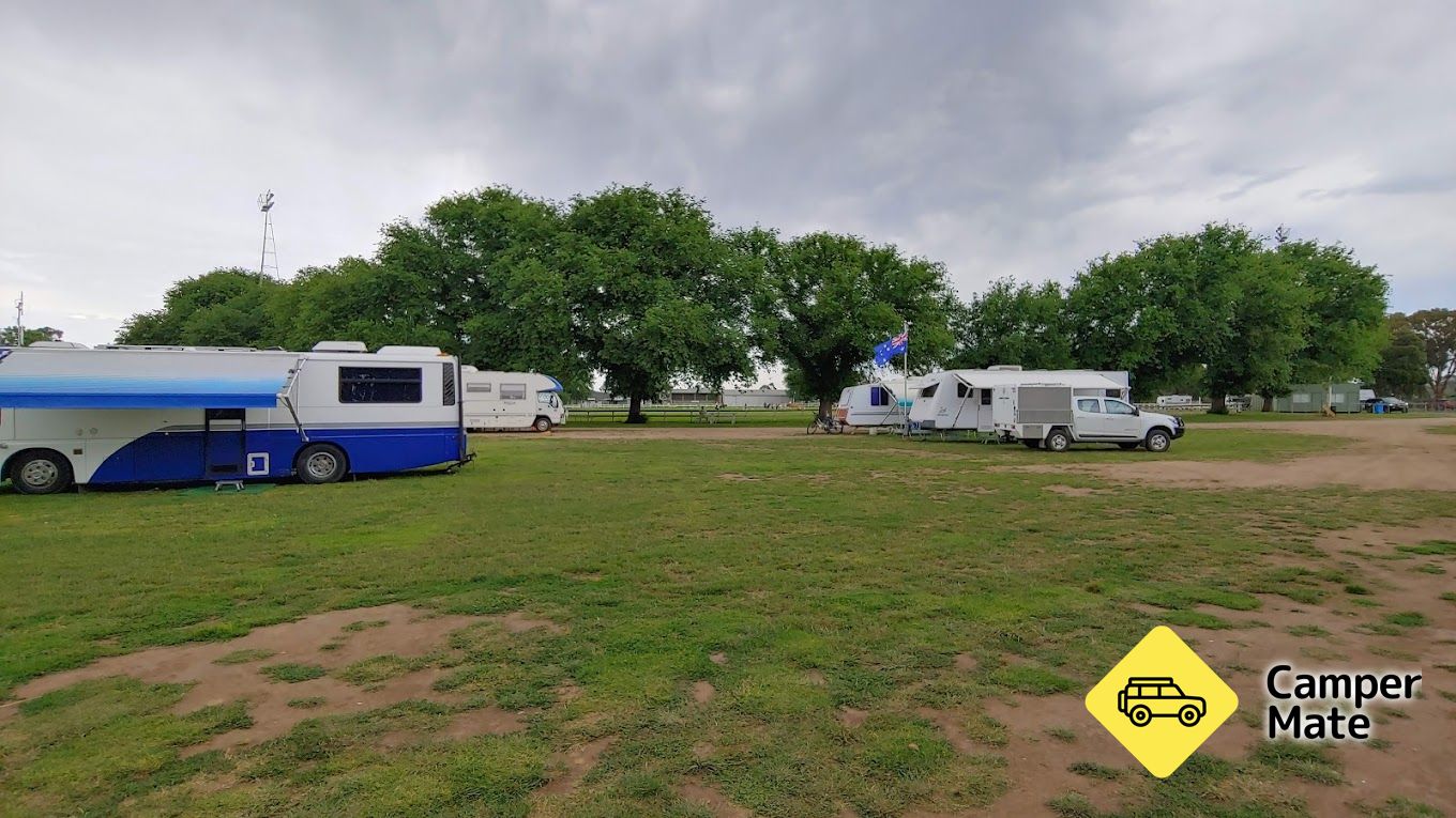 קמפינג Showground
