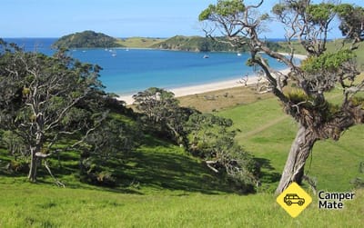 Peninsula Loop Walk - Mimiwhangata Coastal Park