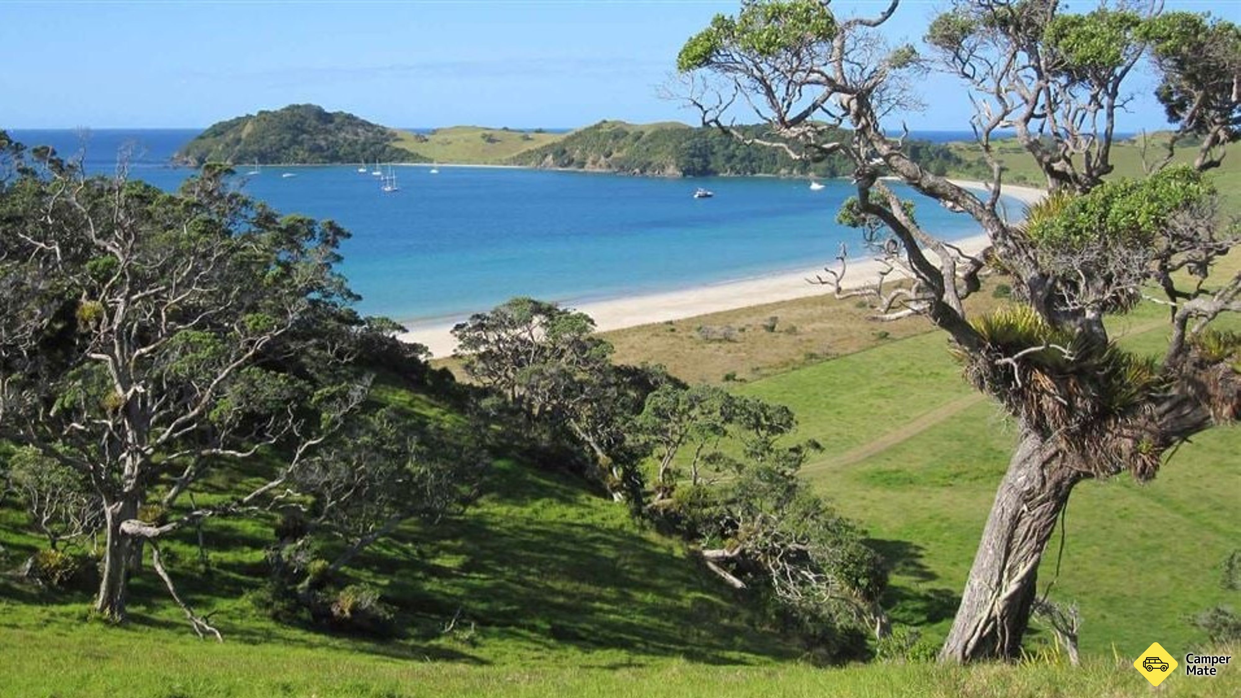 Peninsula Loop Walk - Mimiwhangata Coastal Park